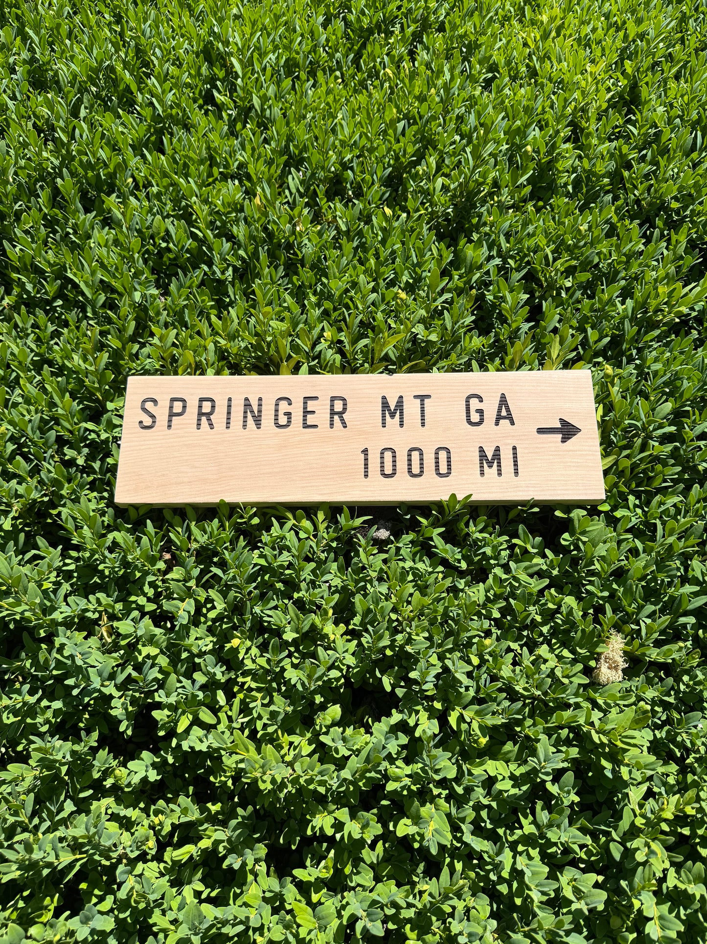 Appalachian Trail Sign – Springer Mountain