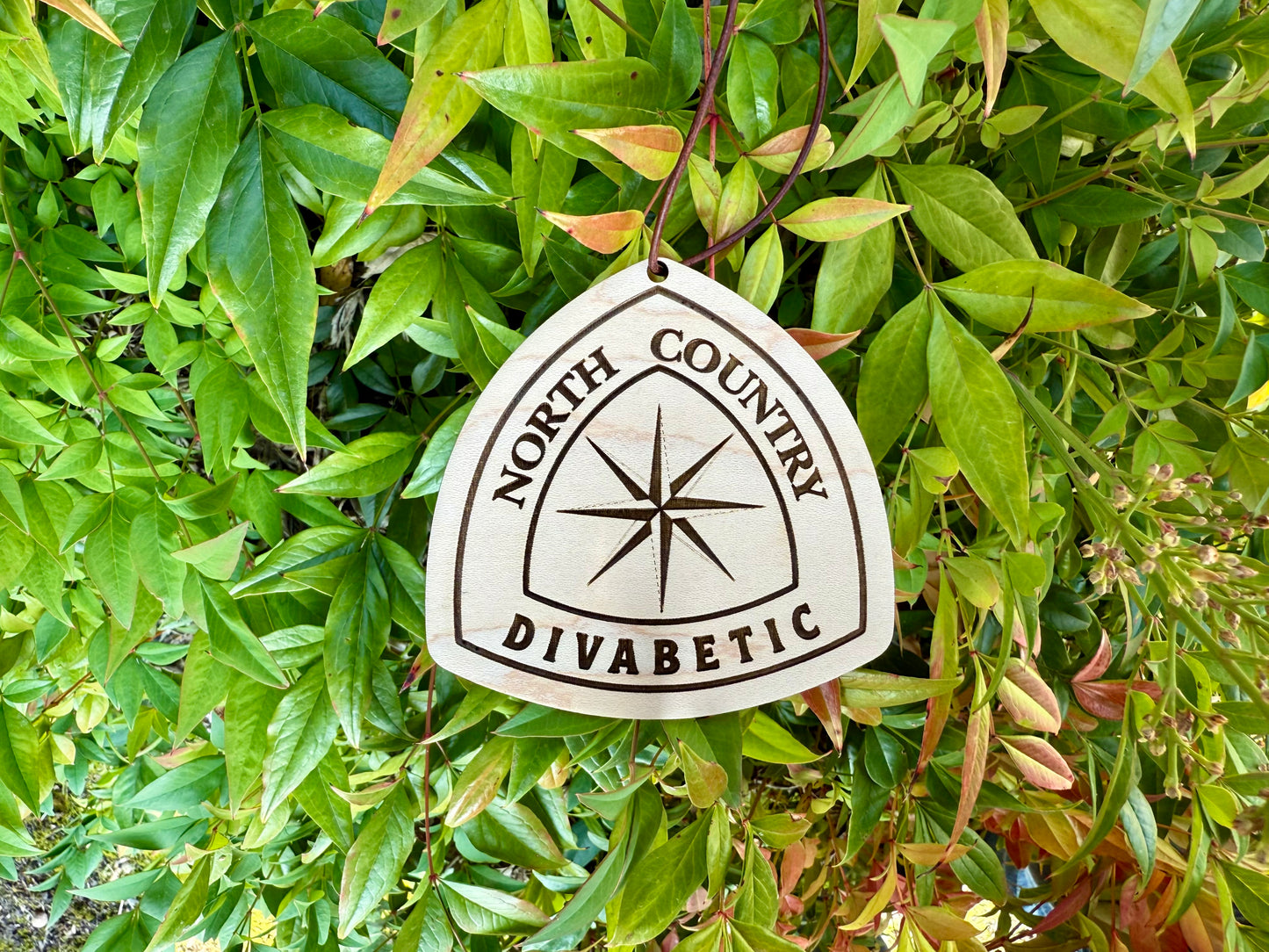 North Country Trail Name Tag – Personalized Wooden Hiker Hangtag, Personalized Wood Hiking Badge, North Country Trail Hiker Gift, Ultra Lightweight design, North Country Trail Angel Gift