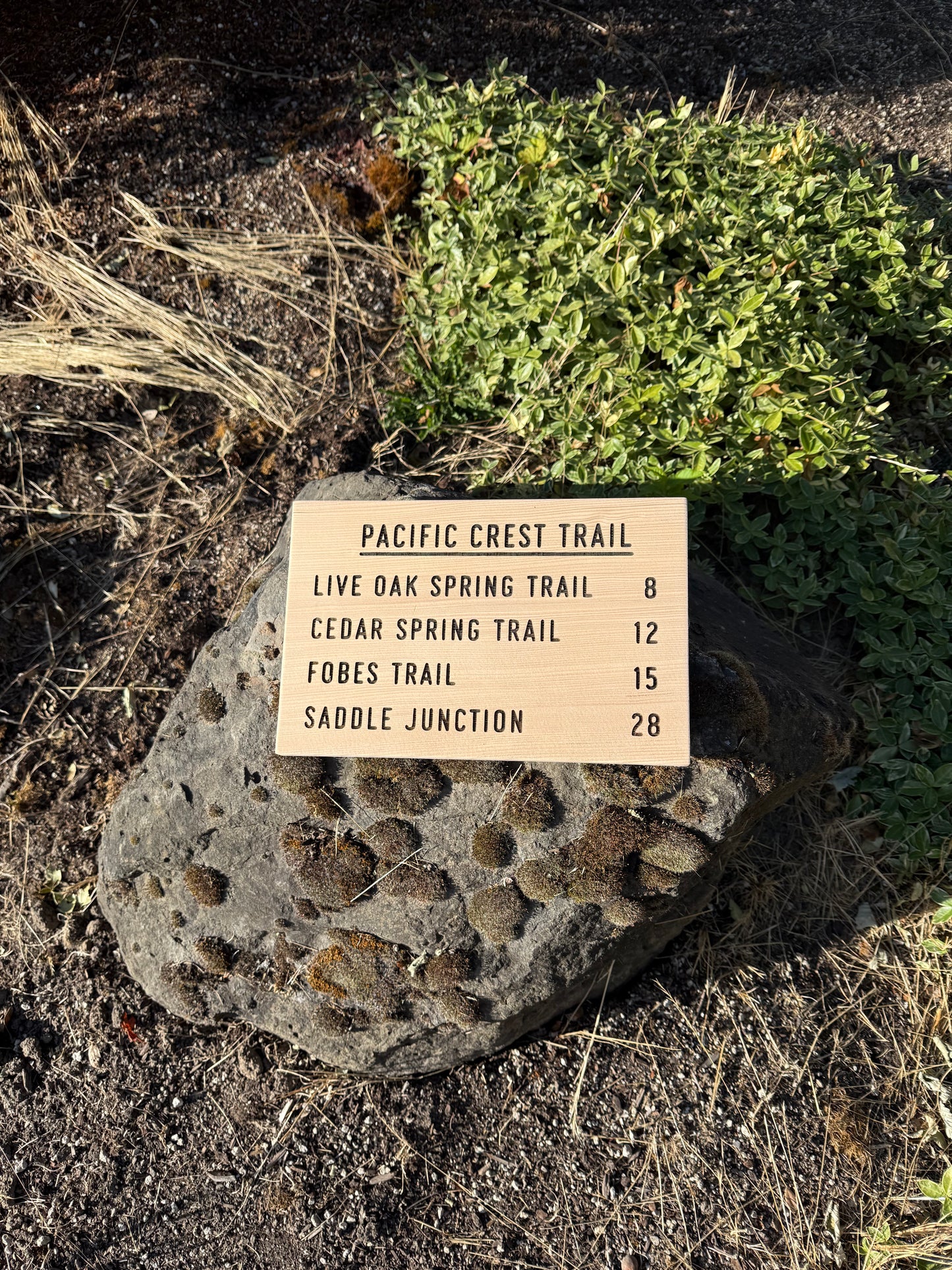 Pacific Crest Trail Sign Gift - Live Oak Spring Trail