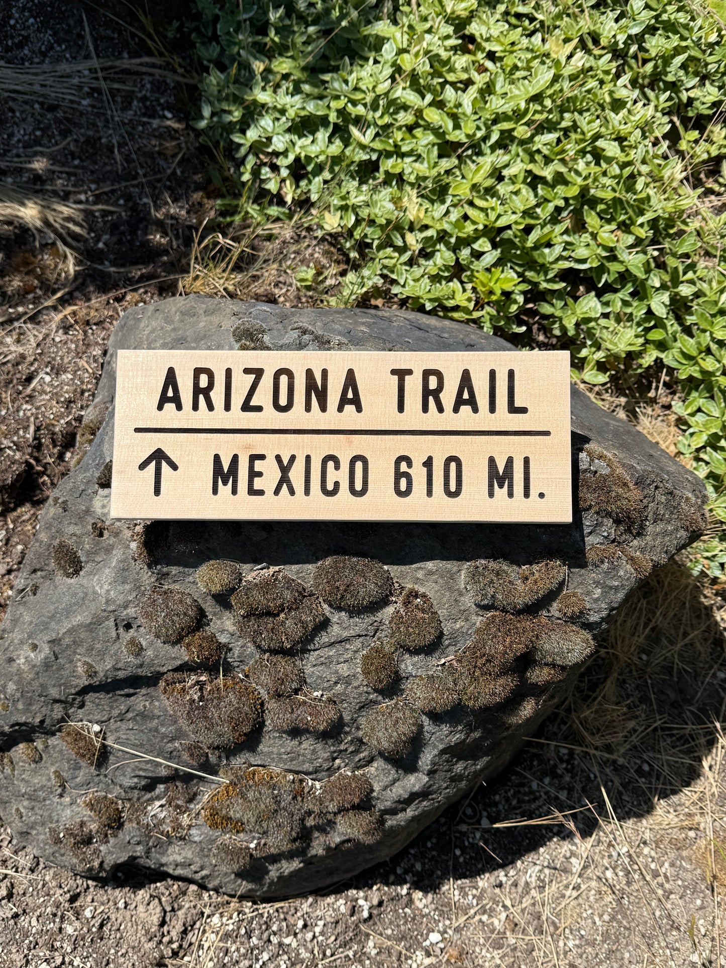 Arizona Trail Sign – Mexico 610 Miles