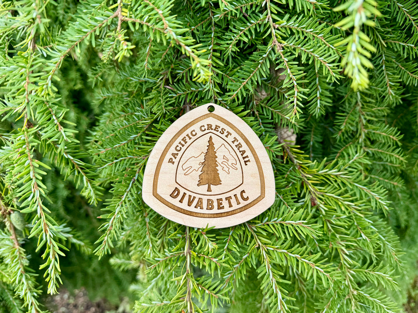 Celebrate Your Trail Name Lightweight Custom Backpack Tag, Personalized Wood Hiking Badge for Pacific Crest Trail PCT Hiker Trail Angel Gift