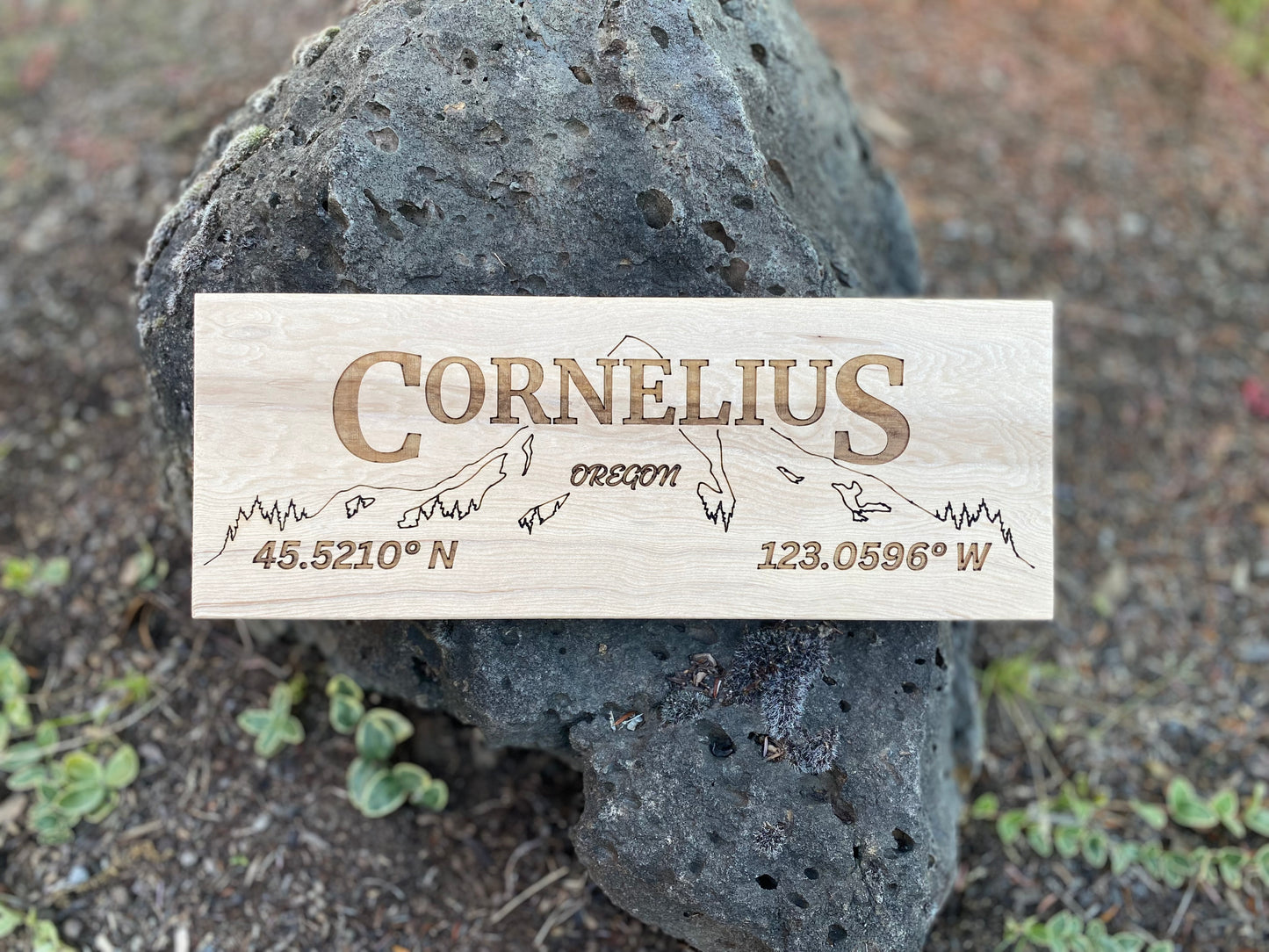 My City Signs - Lasered Personalized Wood Sign (4.75"x12")