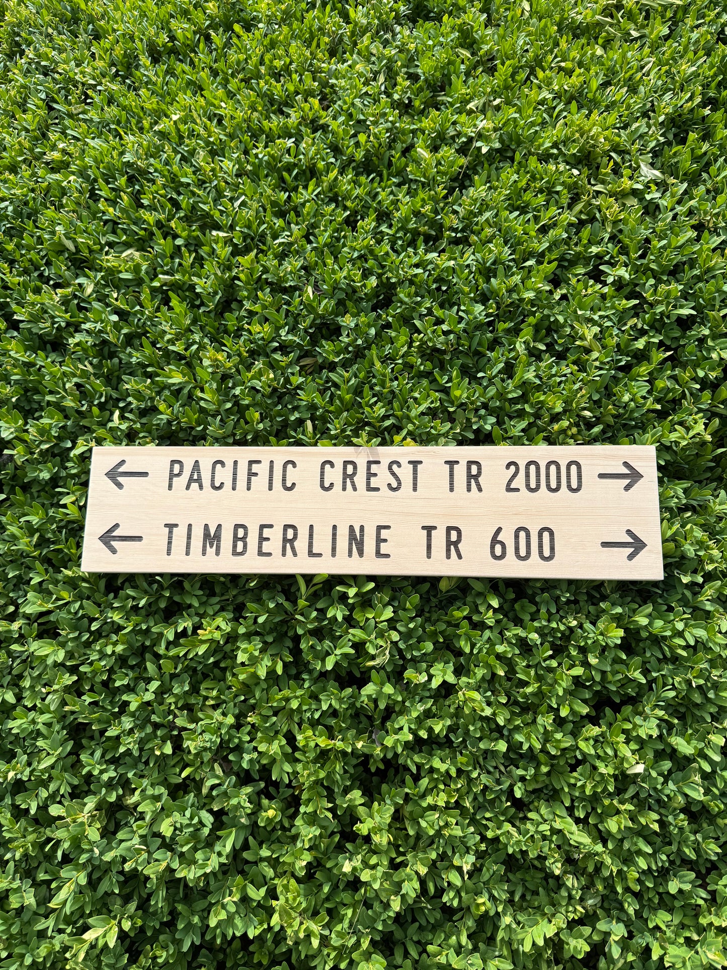 Handmade Timberline Trail 600 sign for anyone searching for a Pacific Crest Trail gift, Mount Hood hiking gift, or unique backpacking keepsake