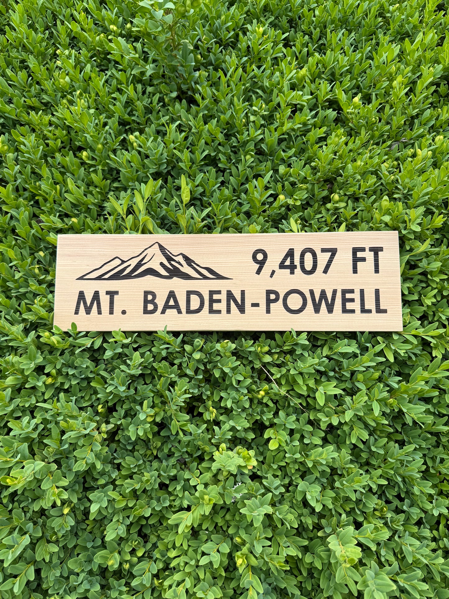 Pacific Crest Trail – Mt Baden Powell