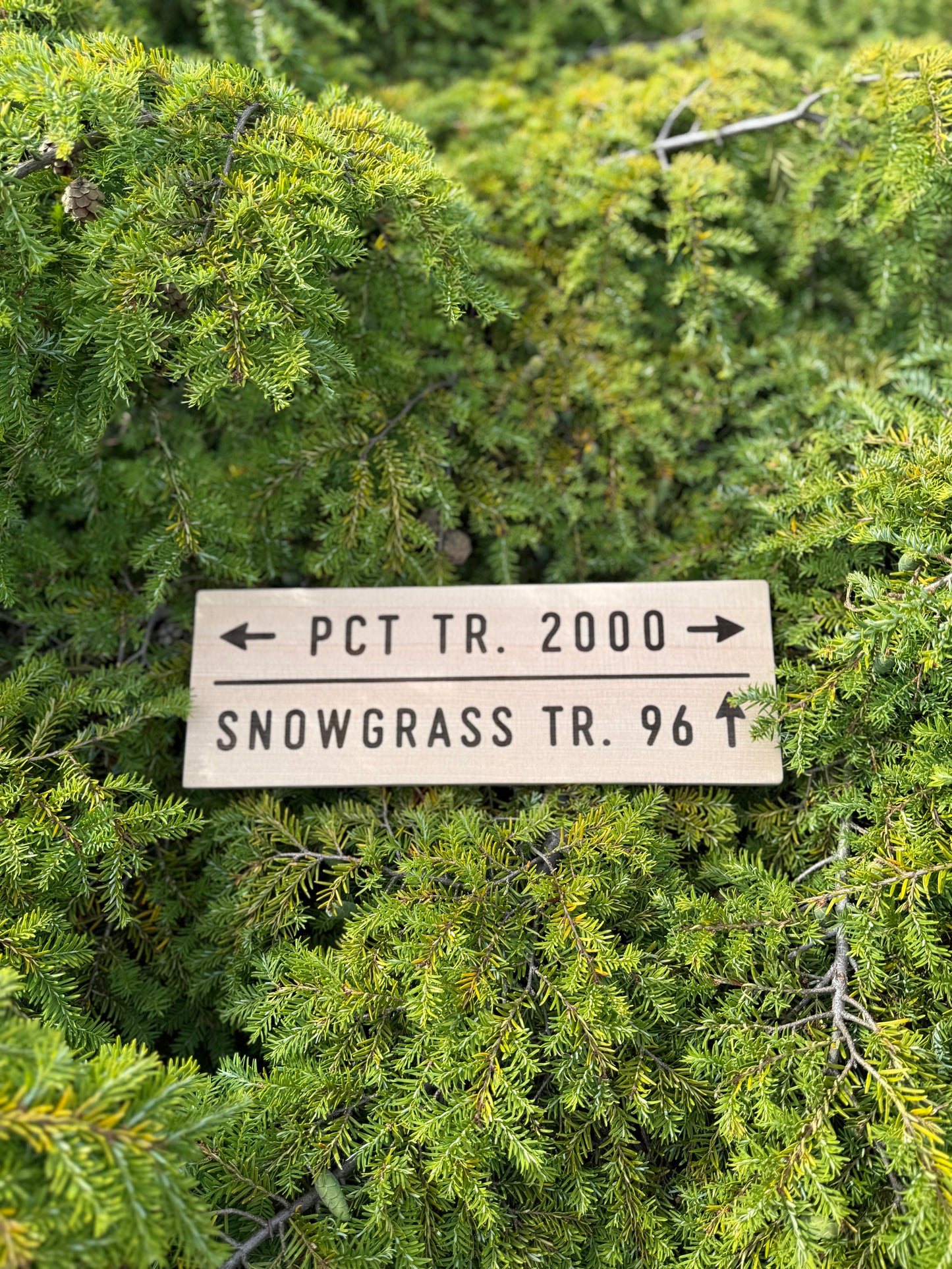 Pacific Crest Trail – Snowgrass Trail #96