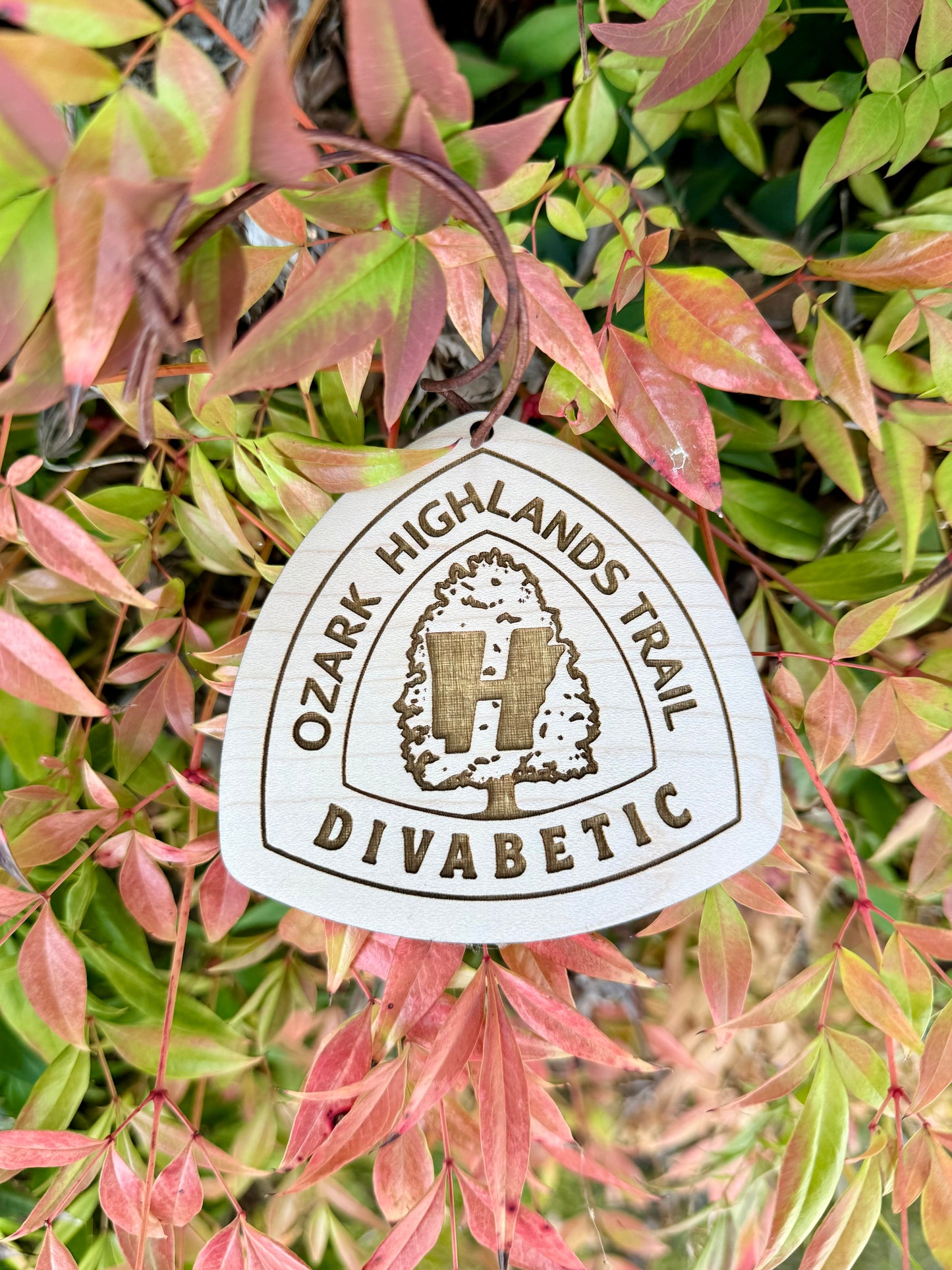 Ozark Highlands Trail Name Tag – Personalized Wooden Hiker Hangtag, Personalized Wood Hiking Badge, Ozark Highlands Trail Hiker Gift, Ultra Lightweight design, Ozark Highlands Trail Angel Gift