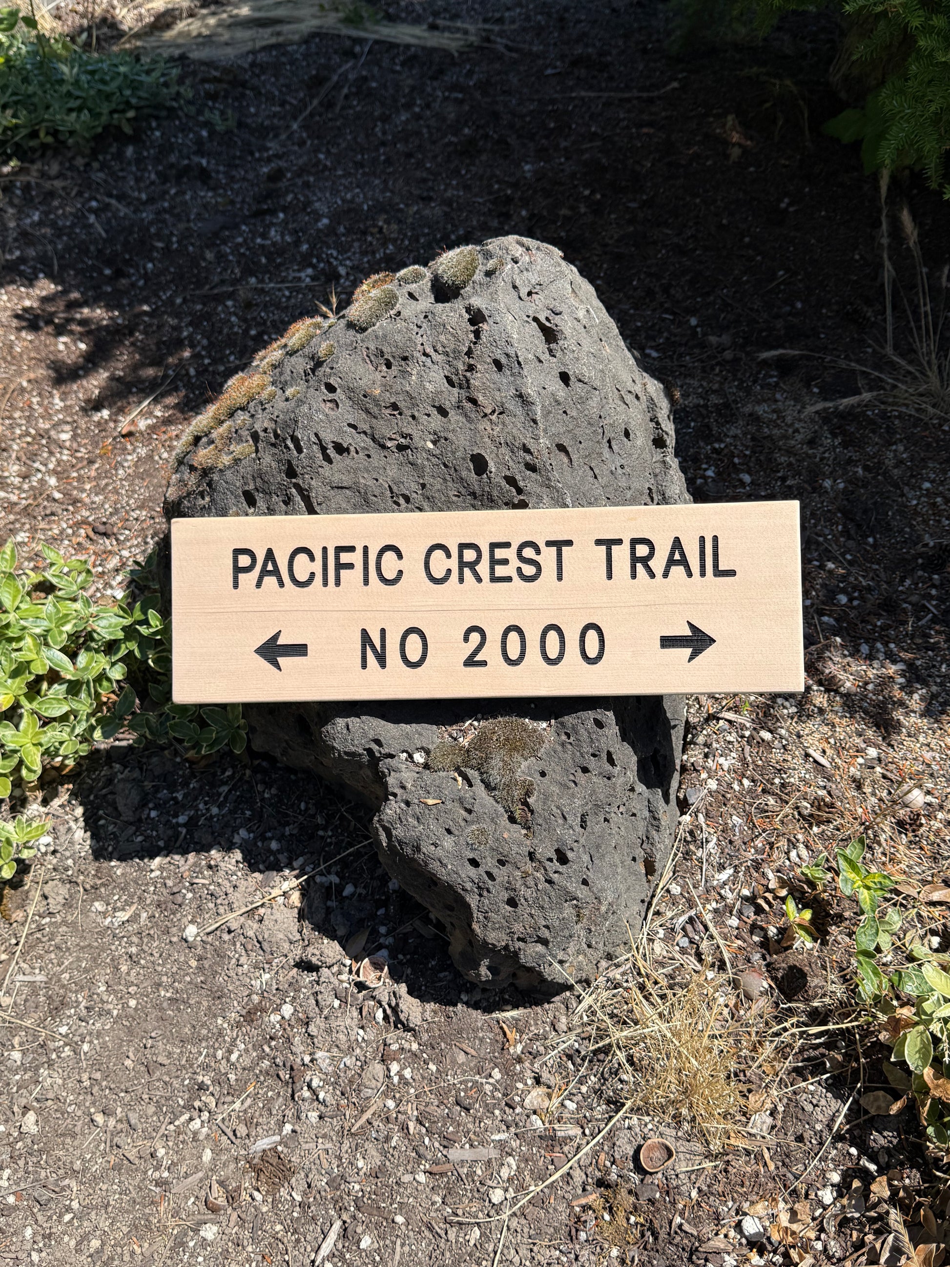Wooden sign indicating 'Pacific Crest Trail No 2000' on a rock in a natural setting.