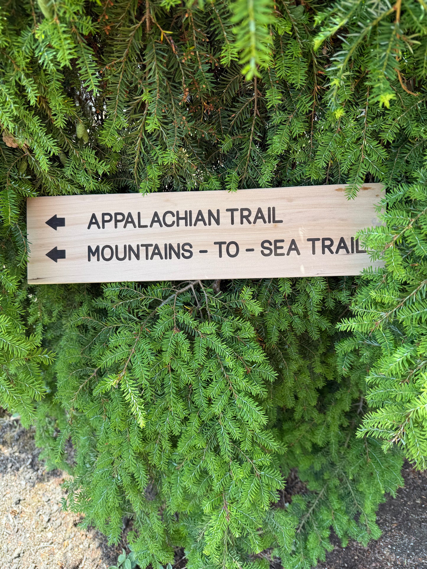 Appalachian Trail Sign – Mountains To Sea Trail