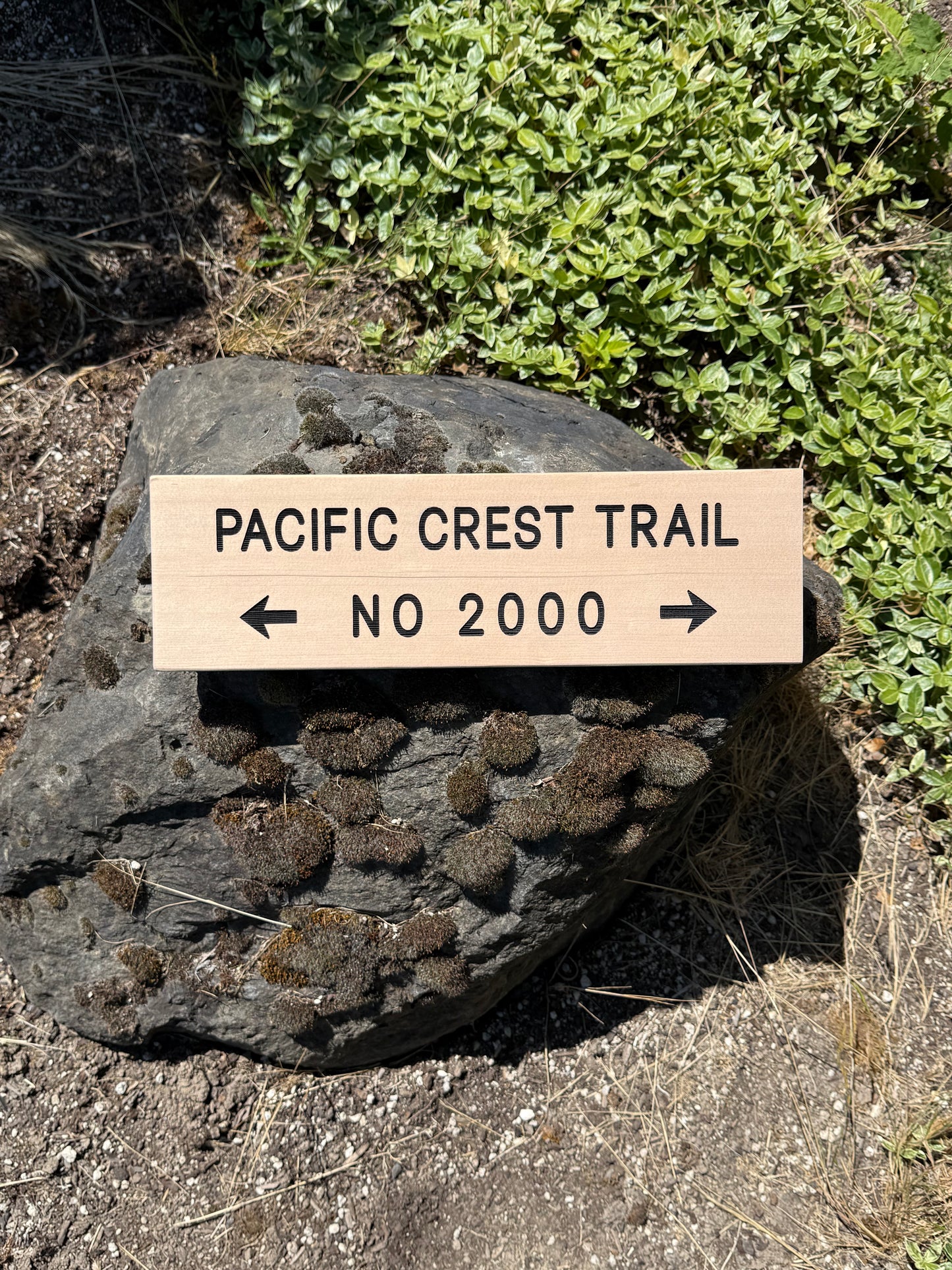 Pacific Crest Trail Sign – Trail Number 2000
