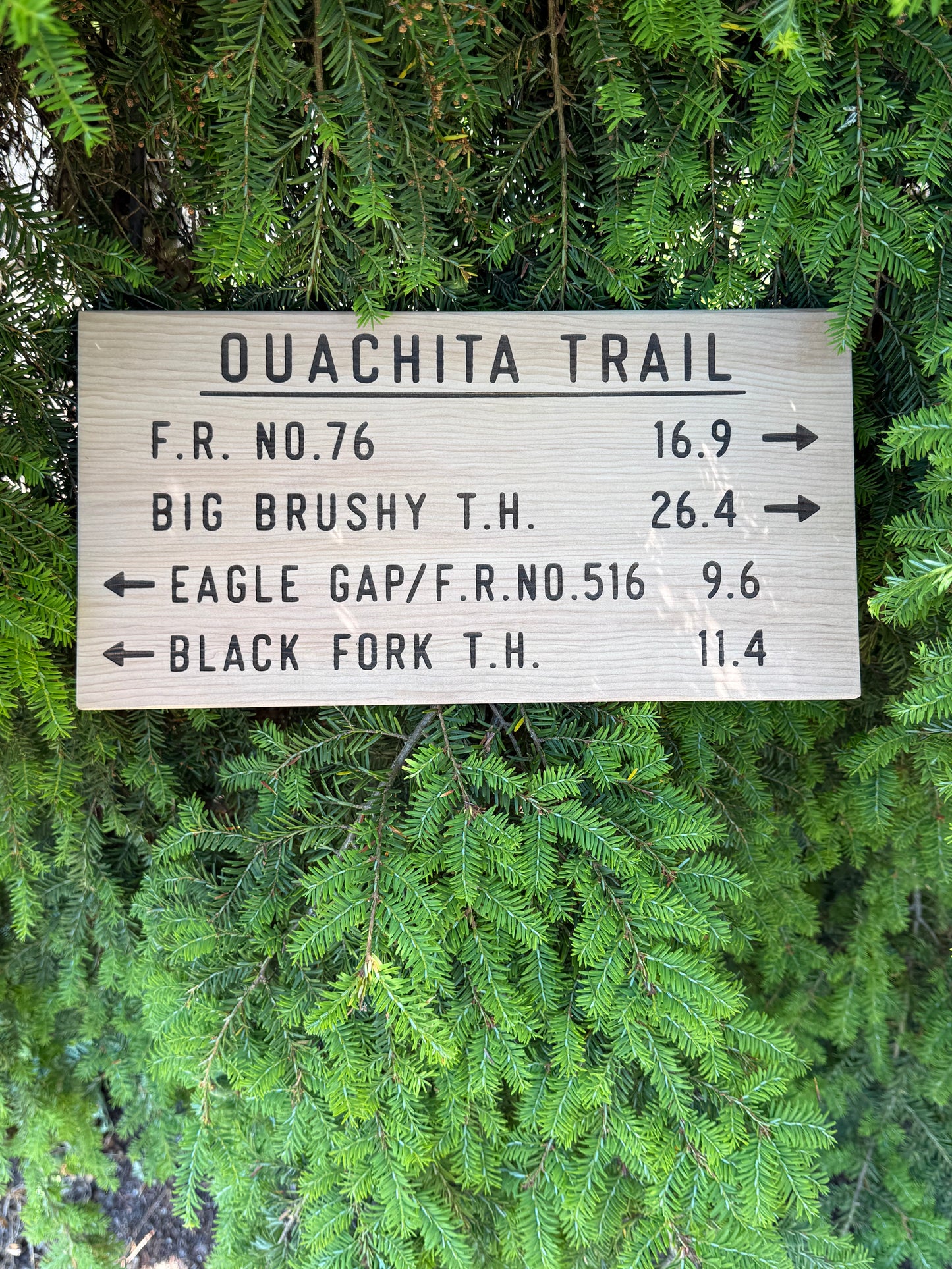 Ouachita Trail Sign – Eagle Gap Big Brushy