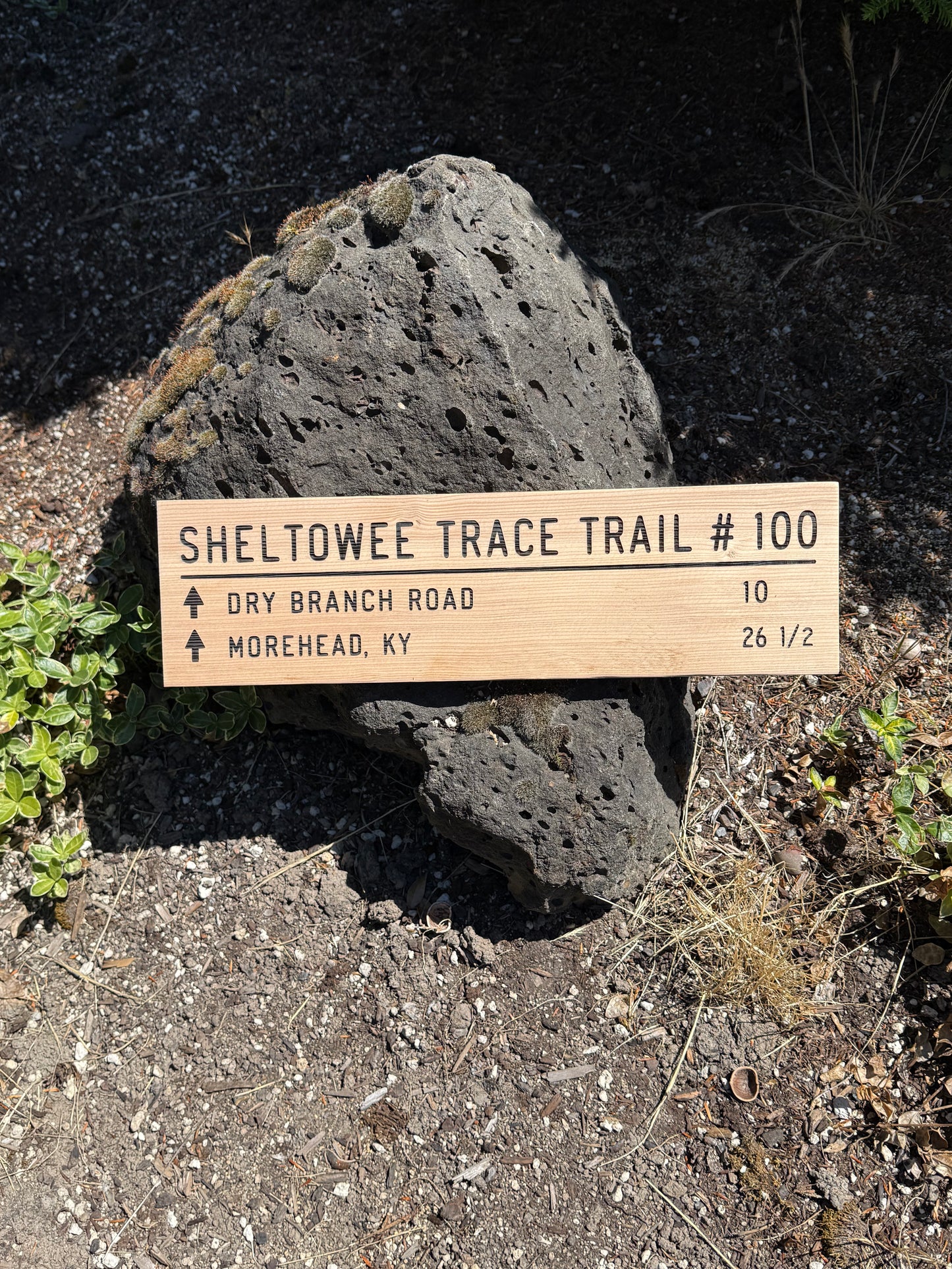 Wooden trail sign on a rock with text about Sheltowee Trace Trail #100.