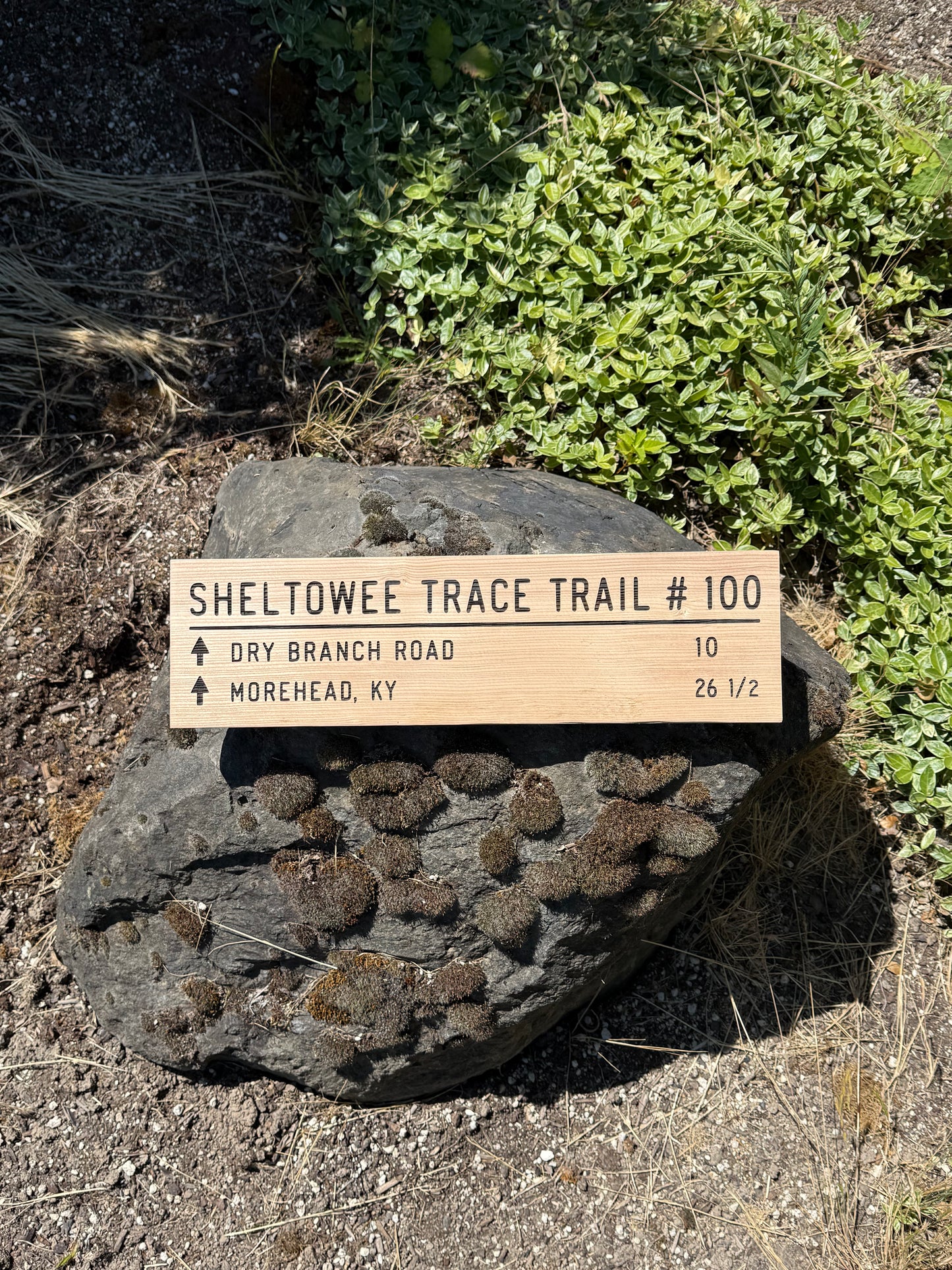 Sheltowee Trace Trail Sign – Dry Ranch Road