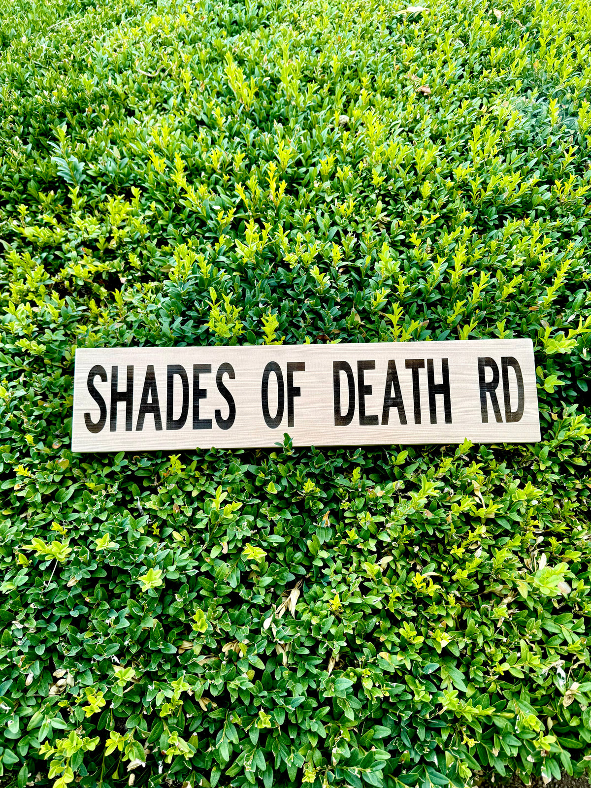 Shades of Death Road Wood Sign – Rustic Horror & Roadside Decor