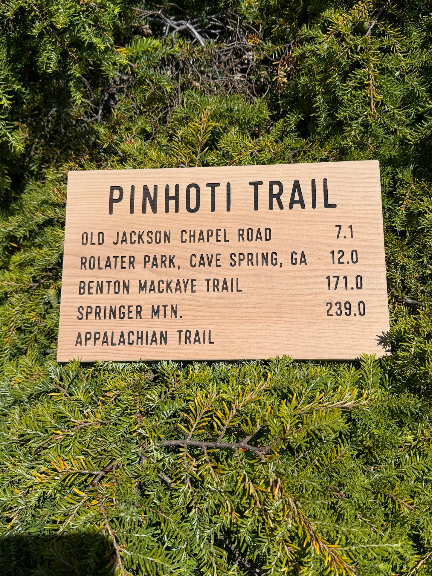 Pinhoti Trail Sign – Old Jackson Chapel Road