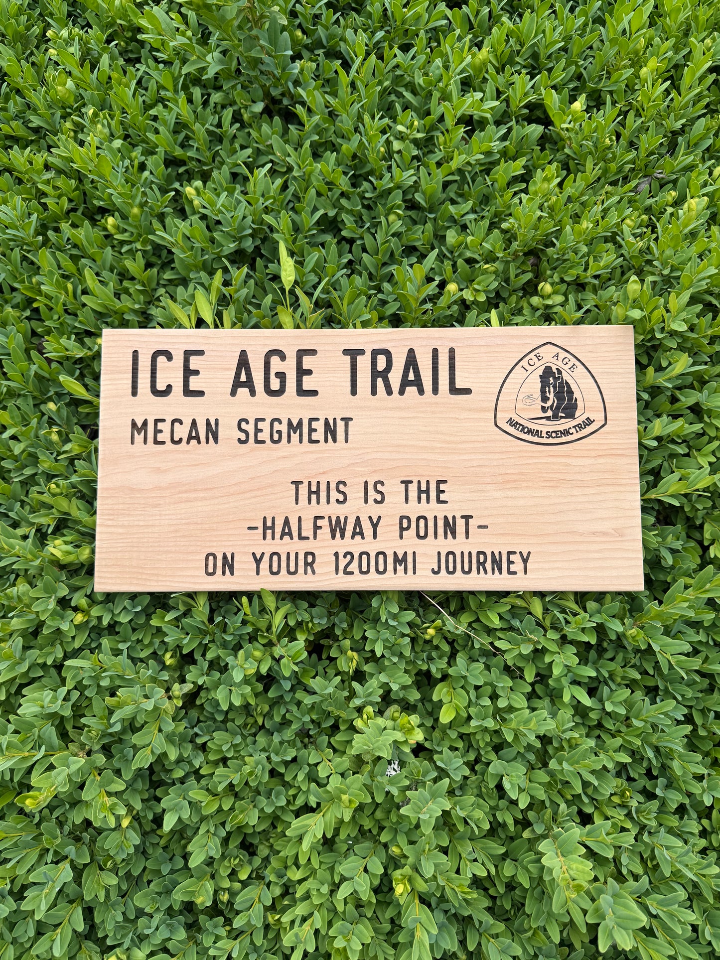 Ice Age Trail – Mecan Segment