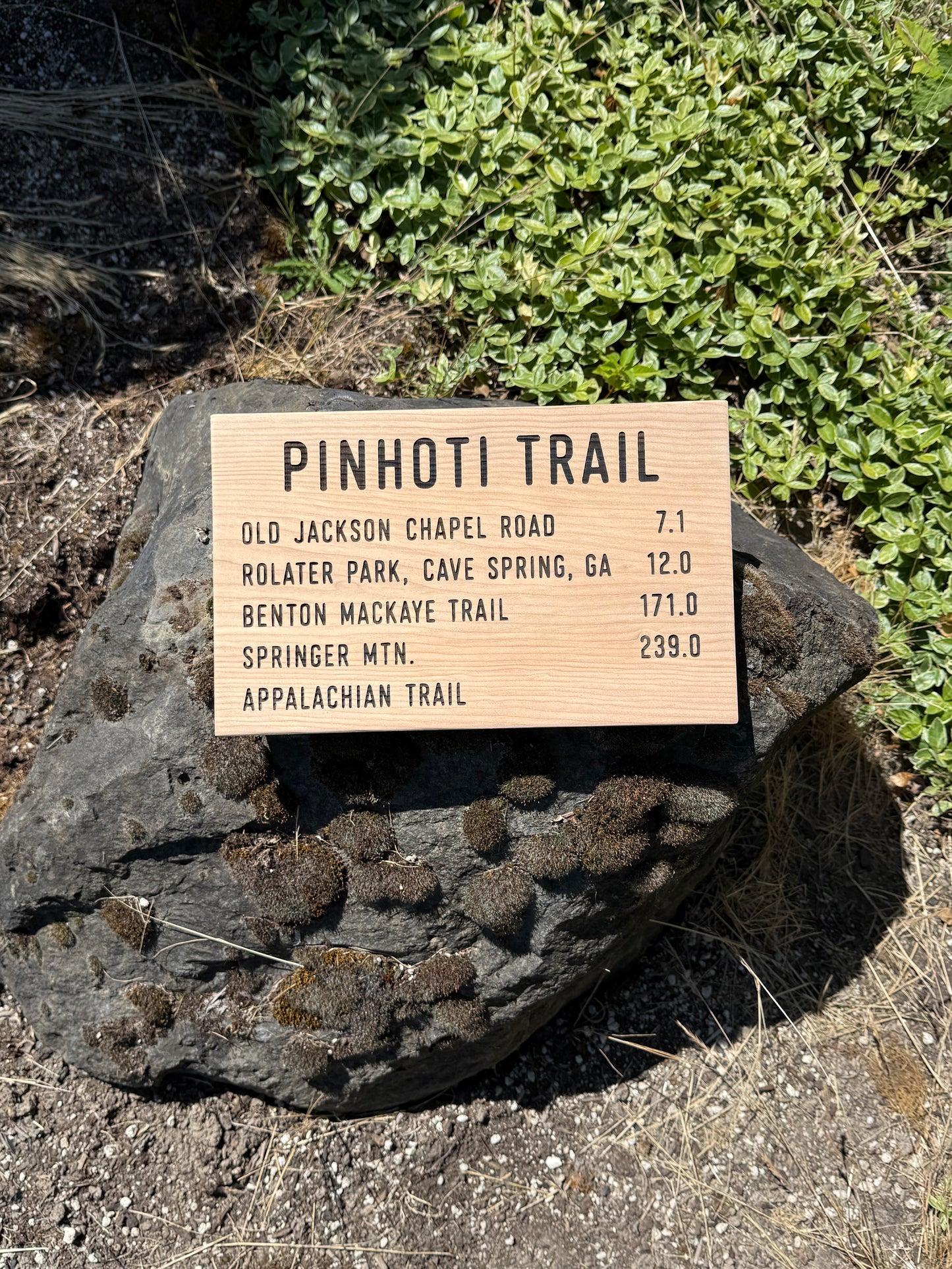 Pinhoti Trail Sign – Old Jackson Chapel Road