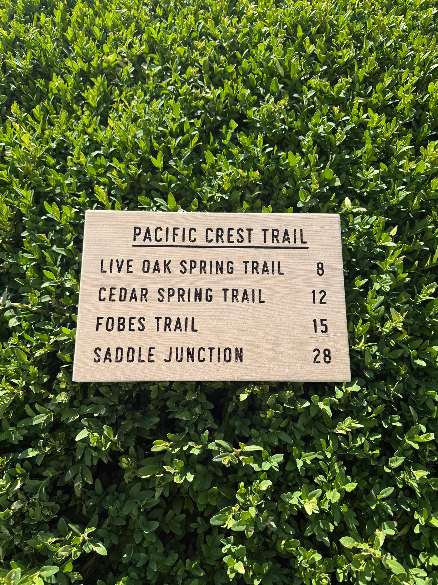 Pacific Crest Trail Sign Gift - Live Oak Spring Trail