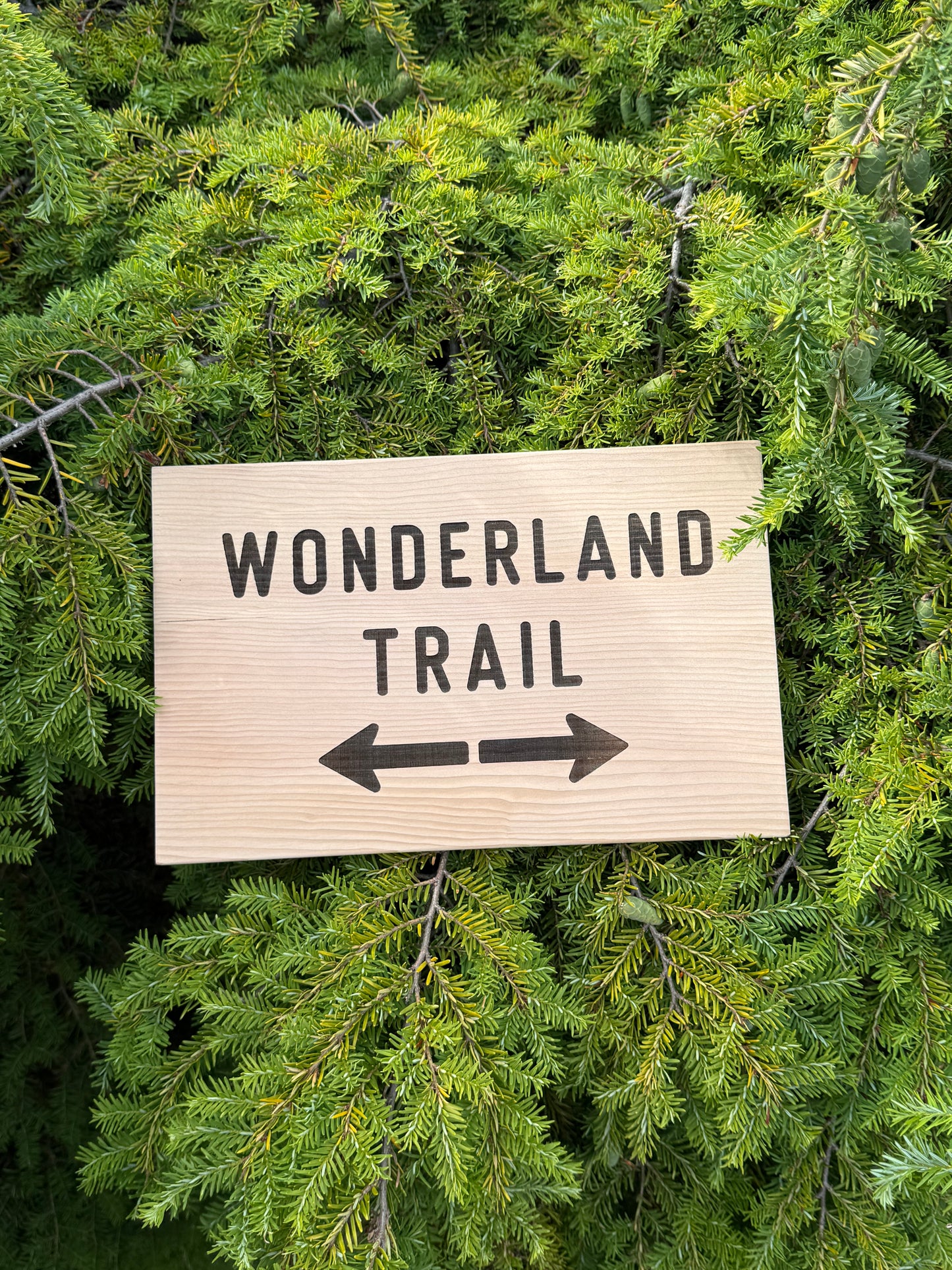 Wonderland Trail Sign Hiker Gift – Trail Directions