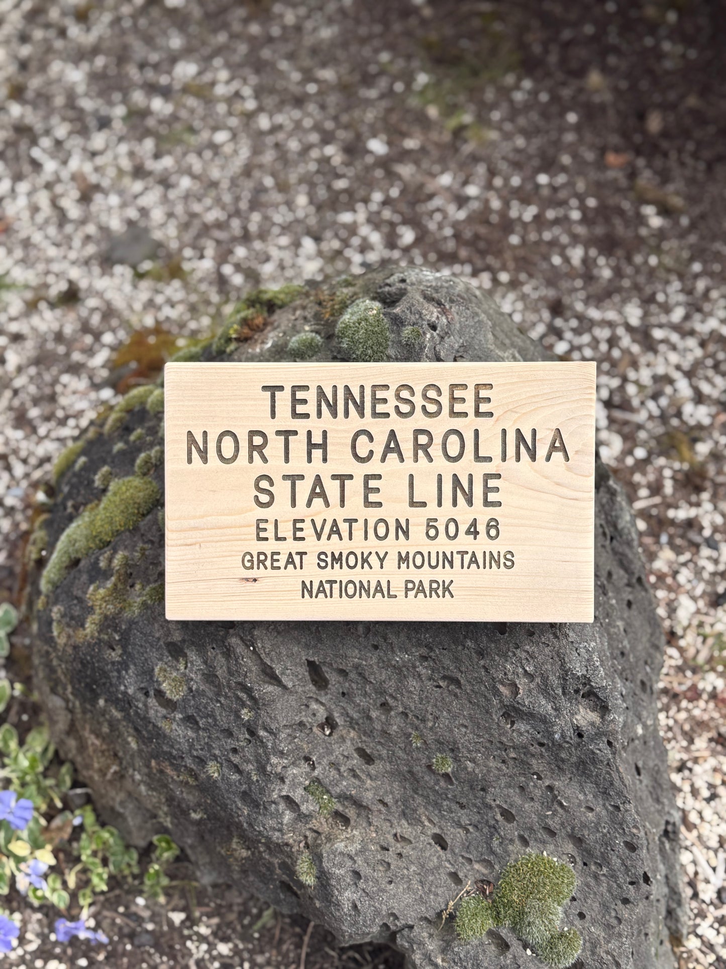 Appalachian Trail – Tennessee / North Carolina State Line