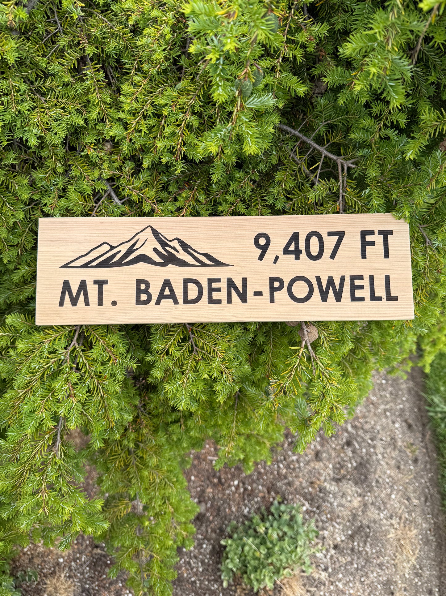 Pacific Crest Trail – Mt Baden Powell