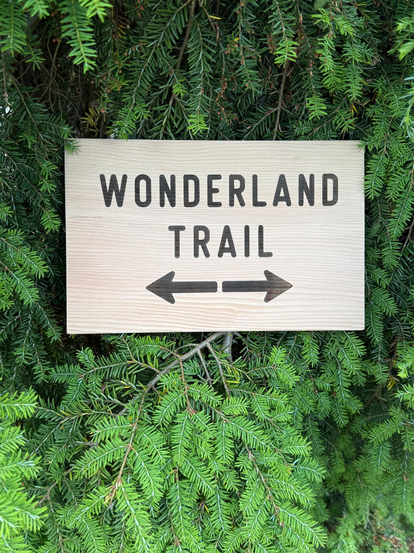 Wonderland Trail Sign Hiker Gift – Trail Directions