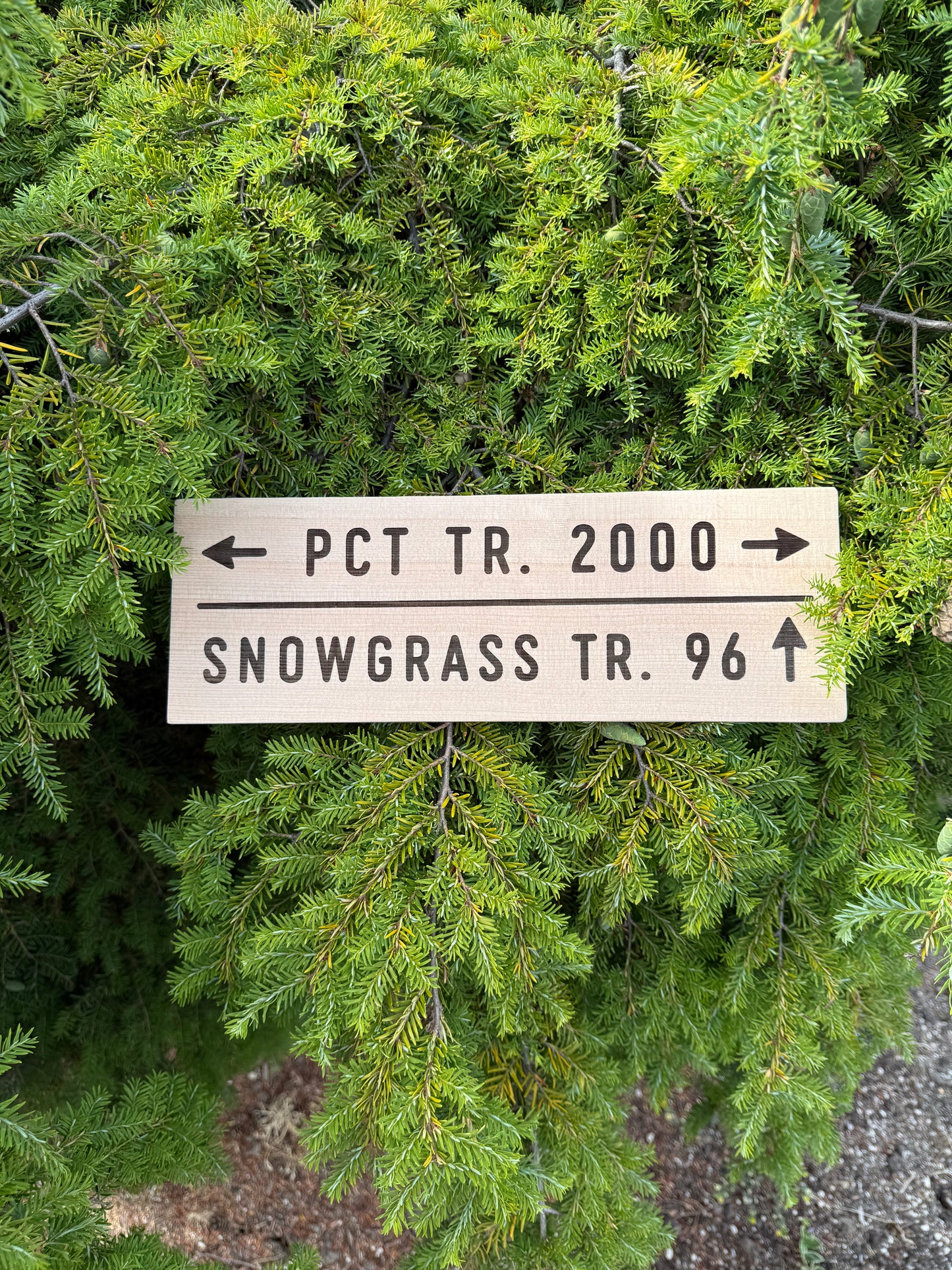 Pacific Crest Trail – Snowgrass Trail #96