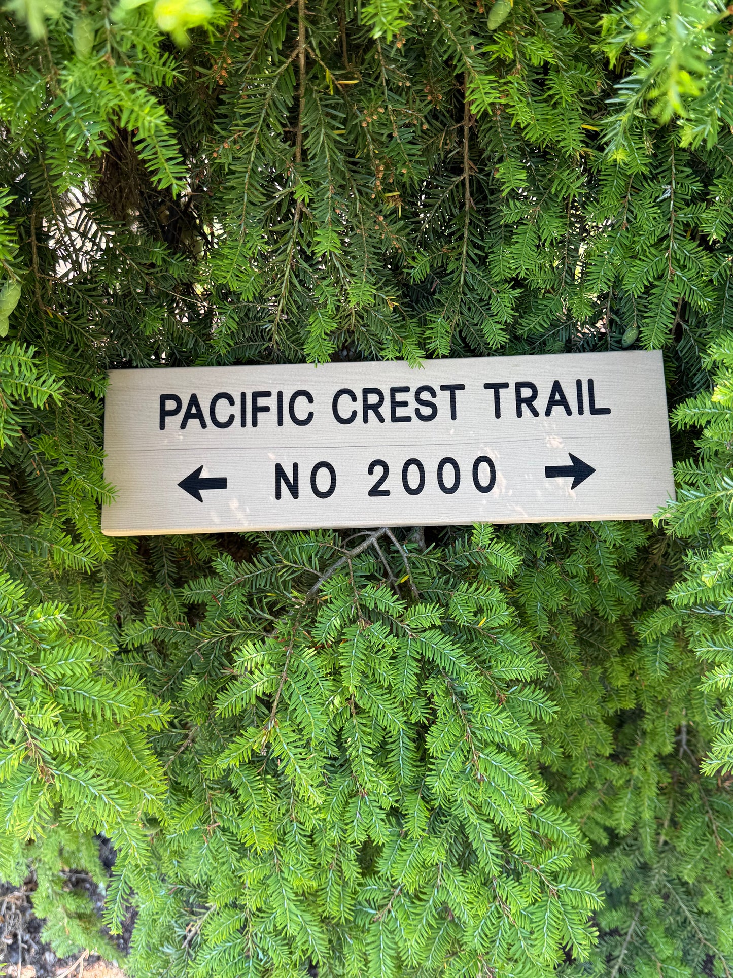 Pacific Crest Trail Sign – Trail Number 2000