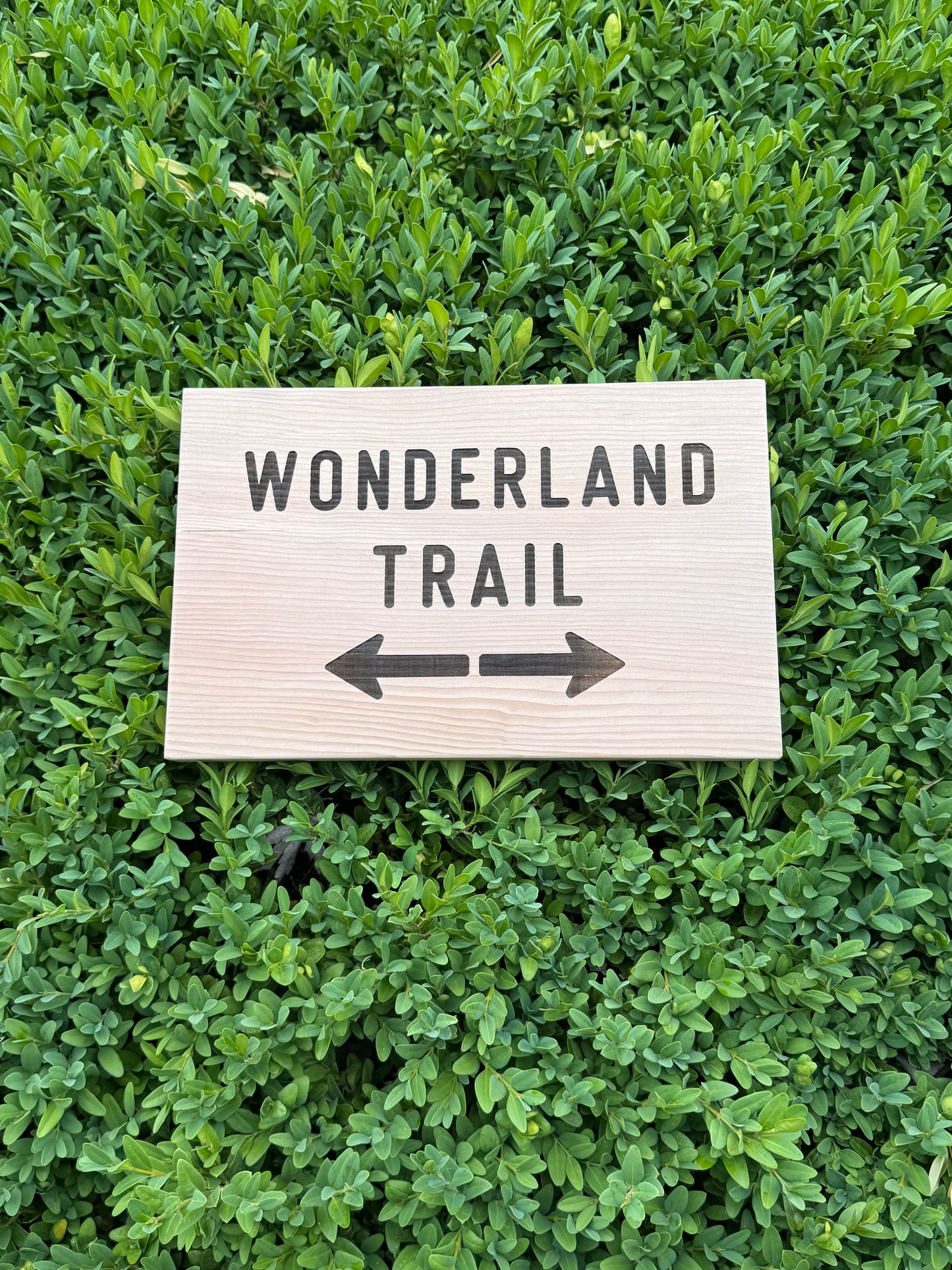 Wonderland Trail Sign Hiker Gift – Trail Directions