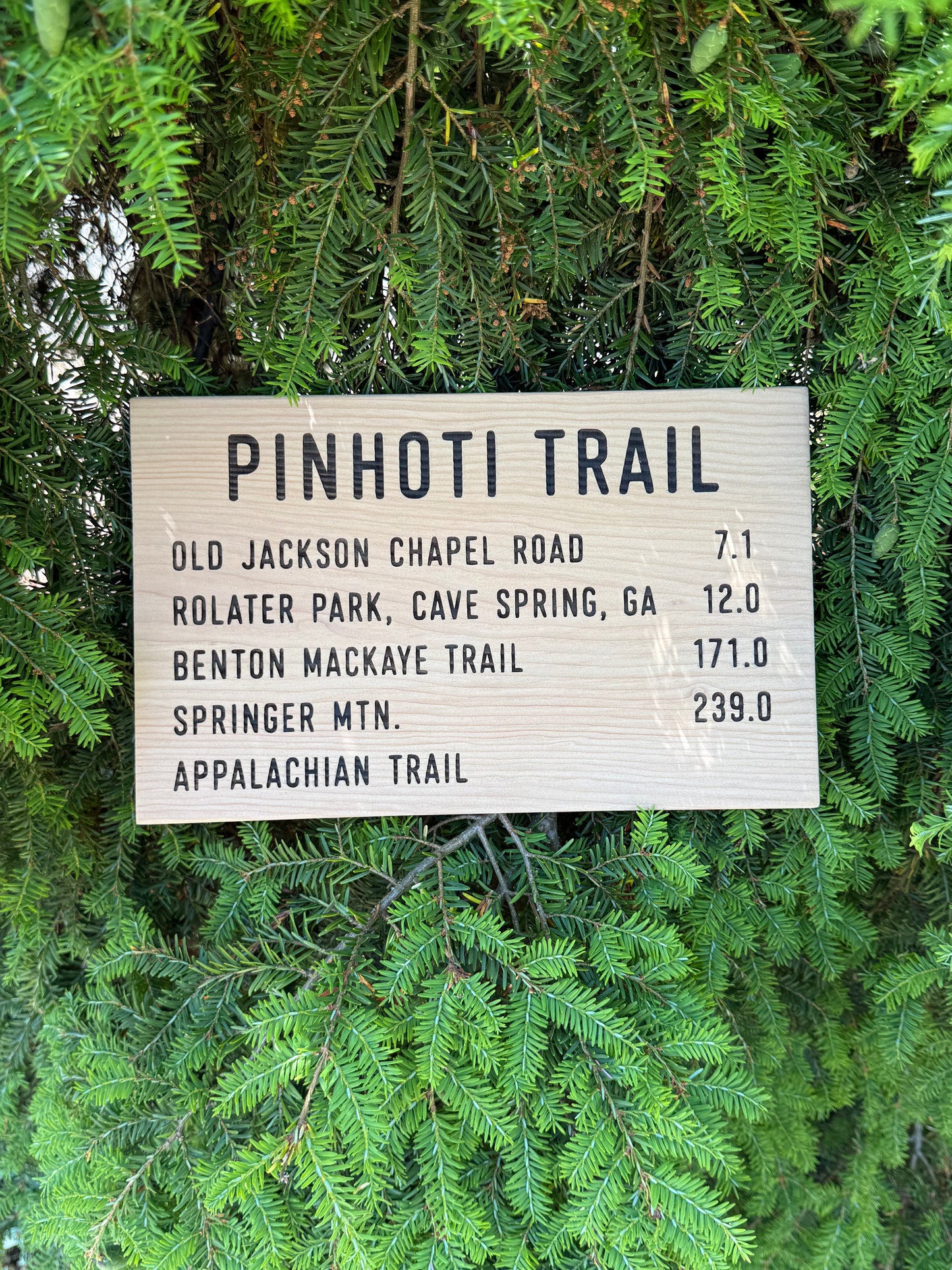 Pinhoti Trail Sign – Old Jackson Chapel Road
