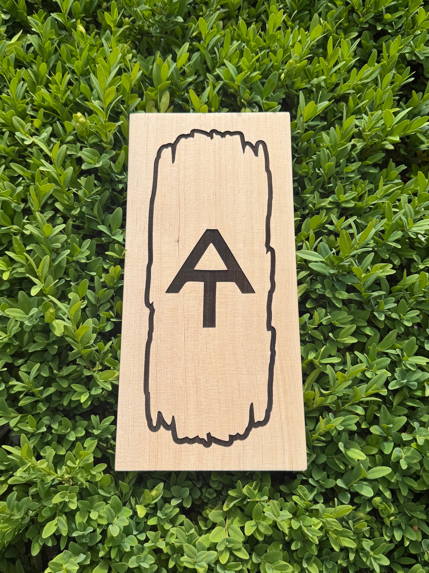 Appalachian Trail – Blaze Sign