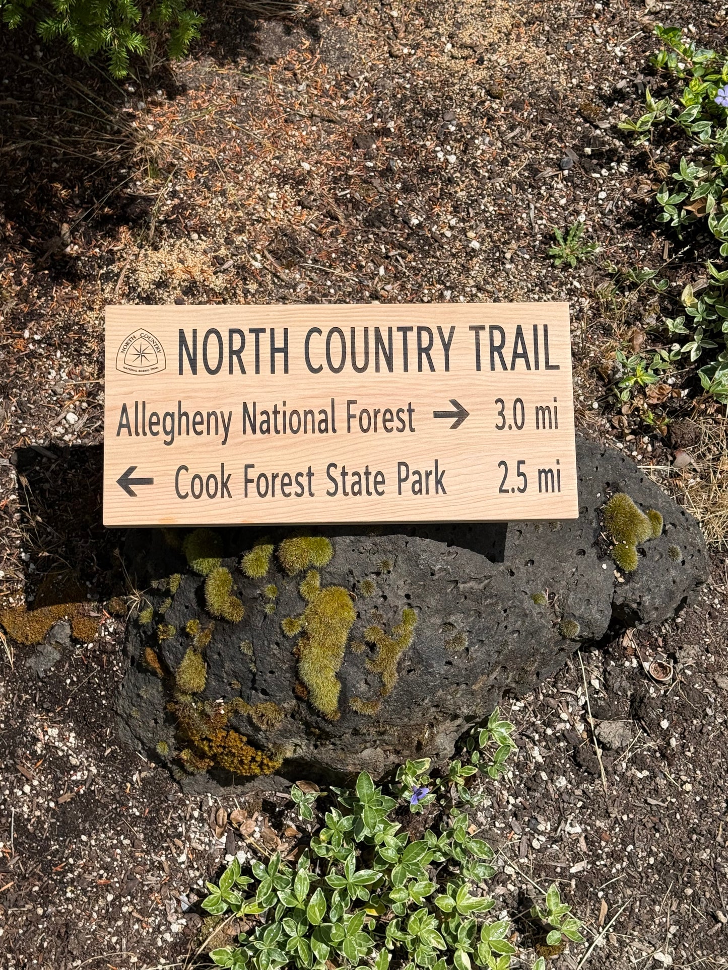 North Country Trail – Alleghany National Forest