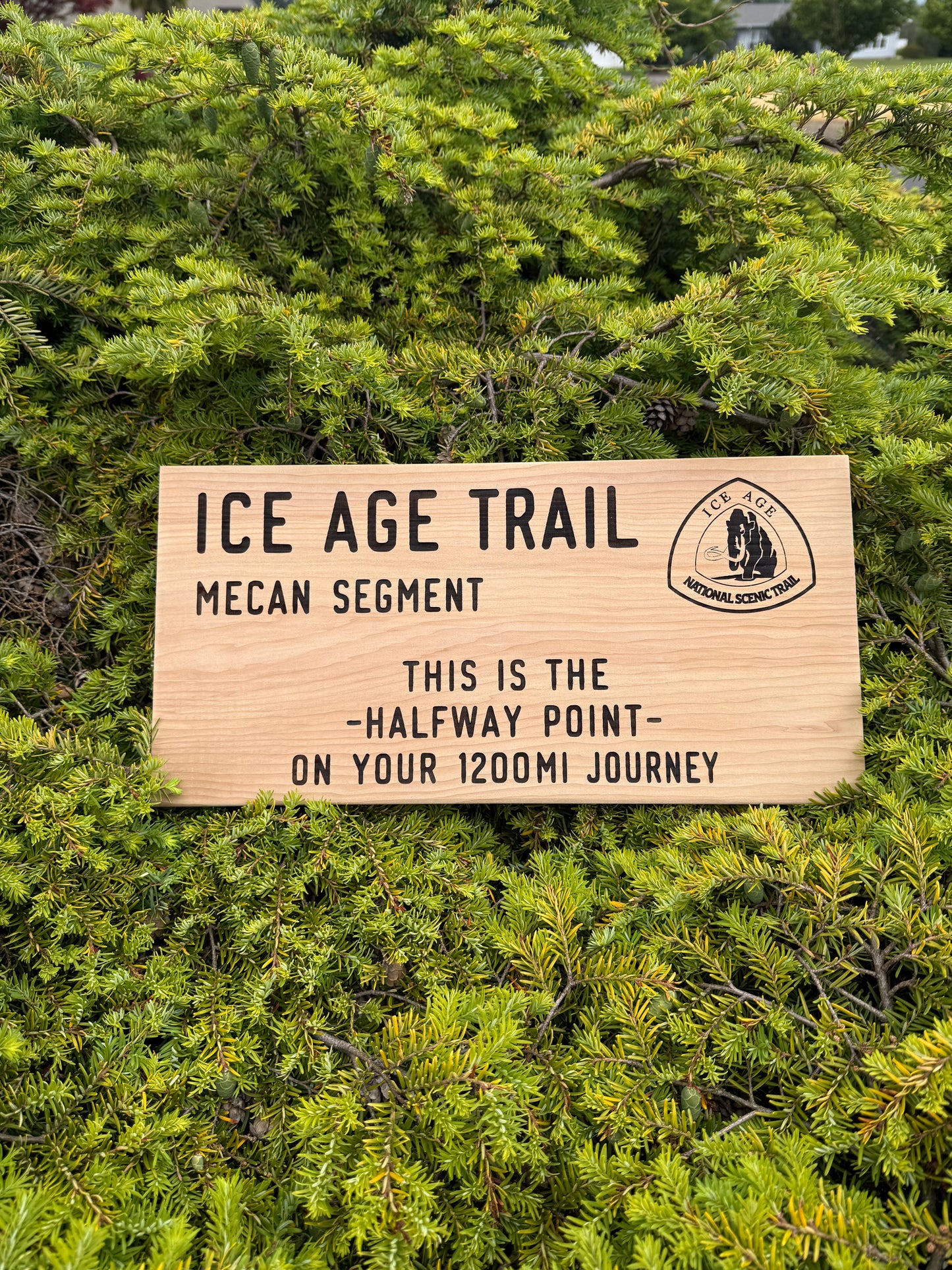 Ice Age Trail – Mecan Segment