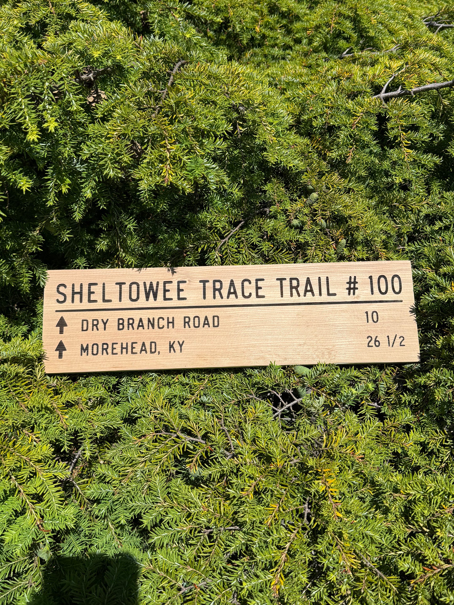 Sheltowee Trace Trail Sign – Dry Ranch Road