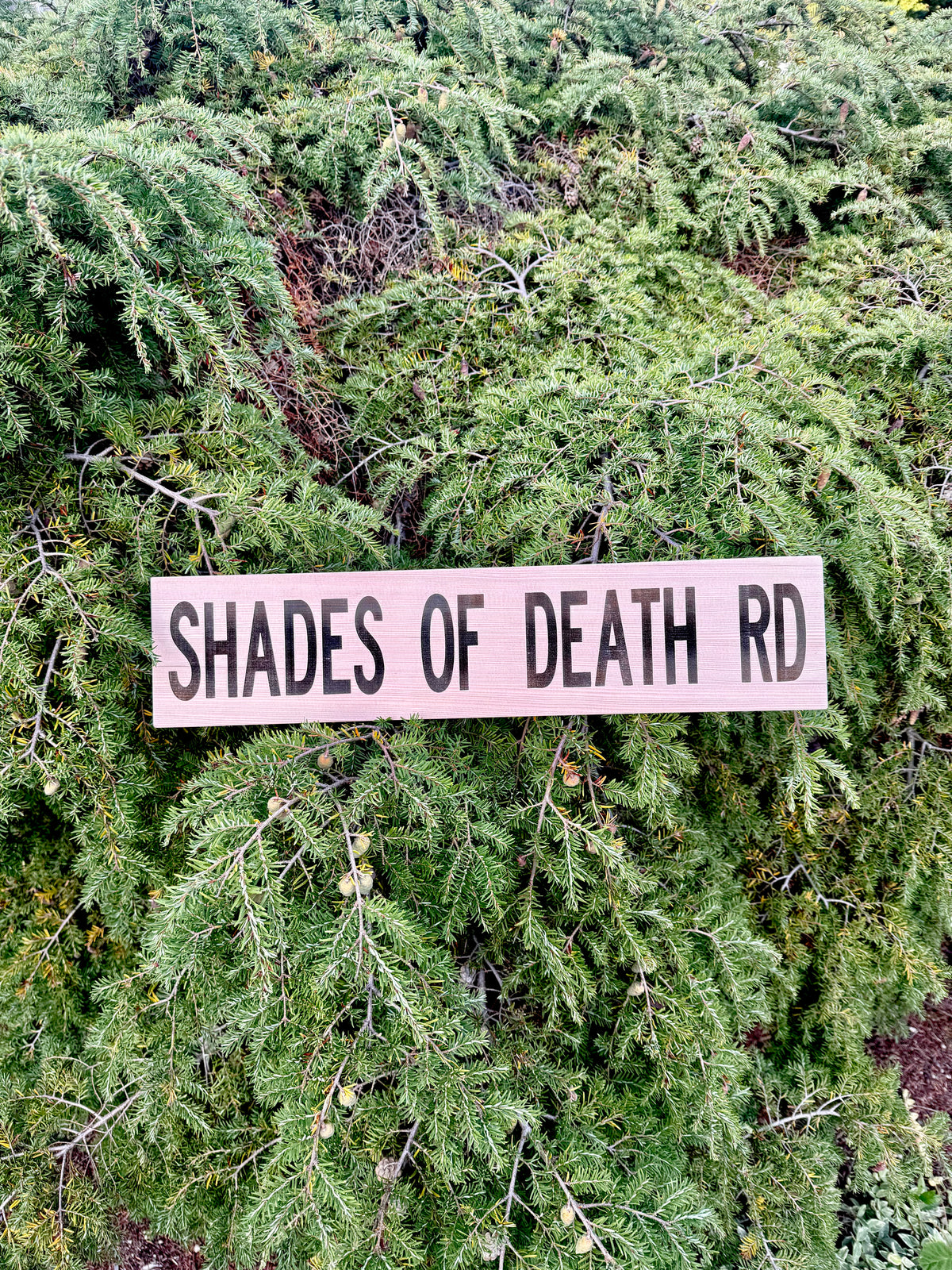Shades of Death Road Wood Sign – Rustic Horror & Roadside Decor