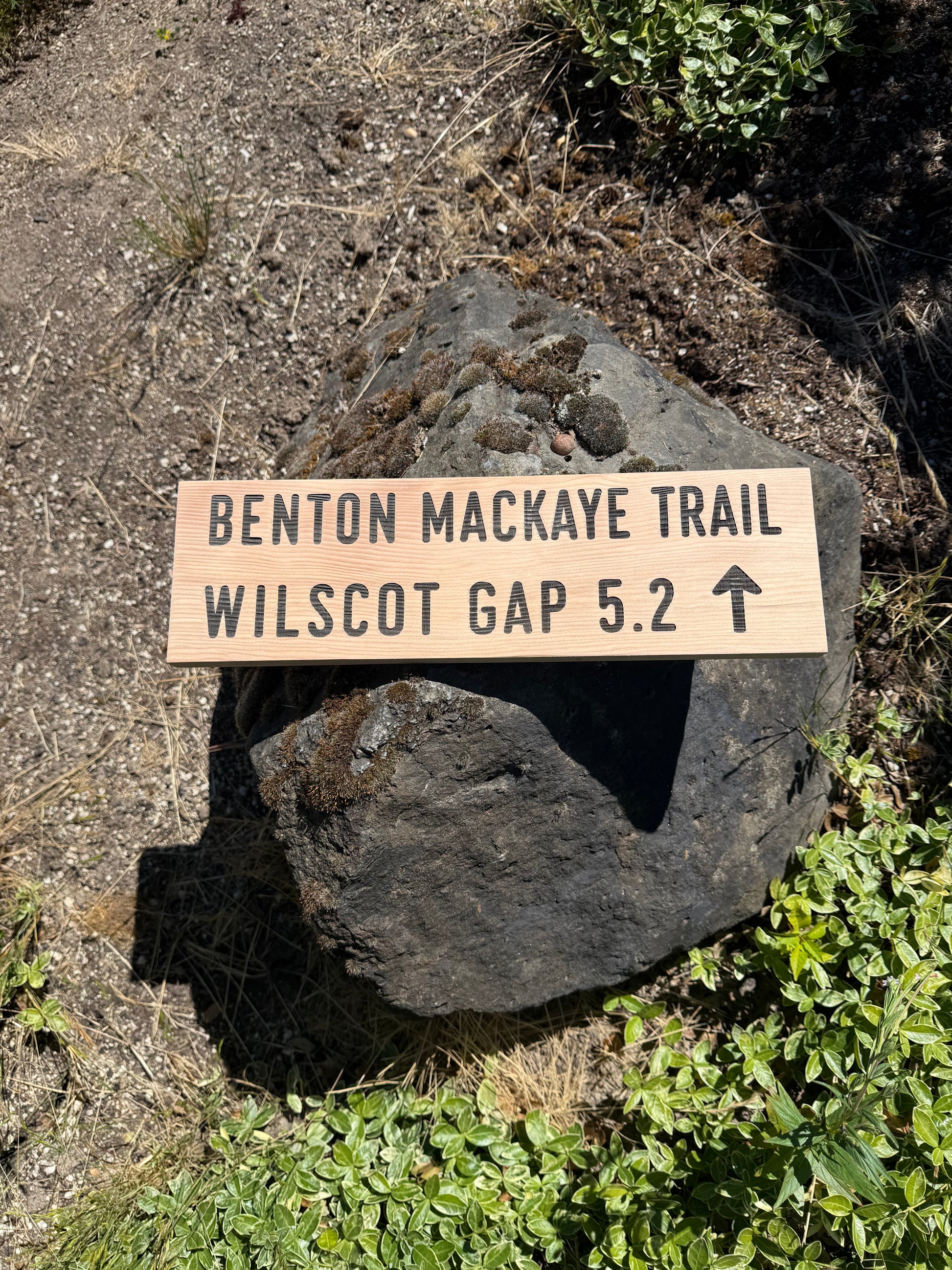 Wooden trail sign on a rock with 'Benton Mackaye Trail' and 'Wilscot Gap 5.2' information.