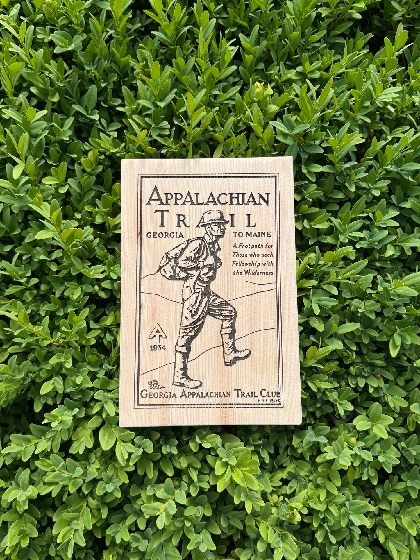 Appalachian Trail – Plaque Springer Mountain