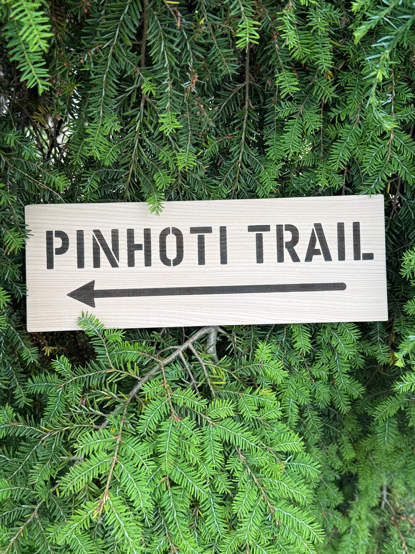Pinhoti Trail Sign Hiker Gift