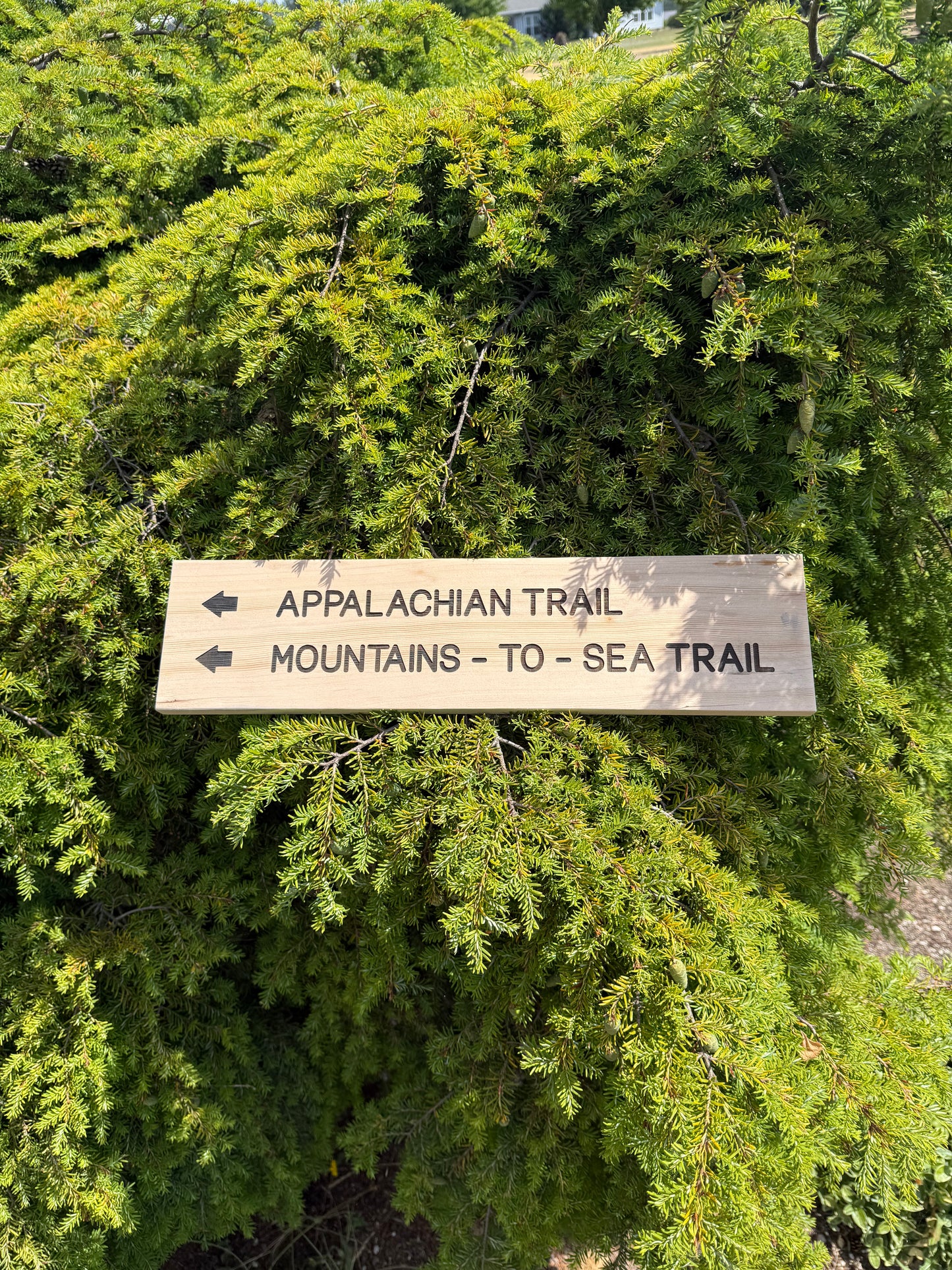 Appalachian Trail Sign – Mountains To Sea Trail