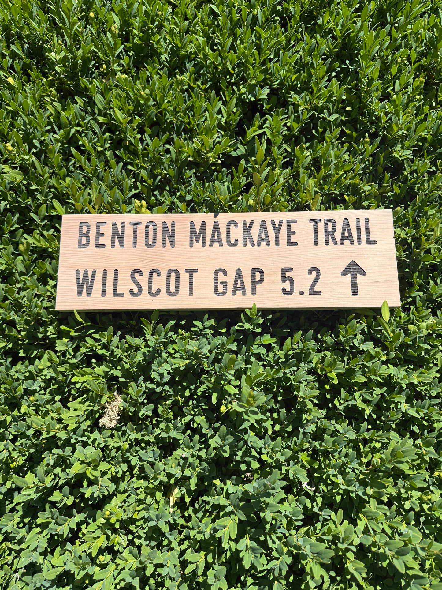 Benton MacKaye Trail Sign – Wilscot Gap
