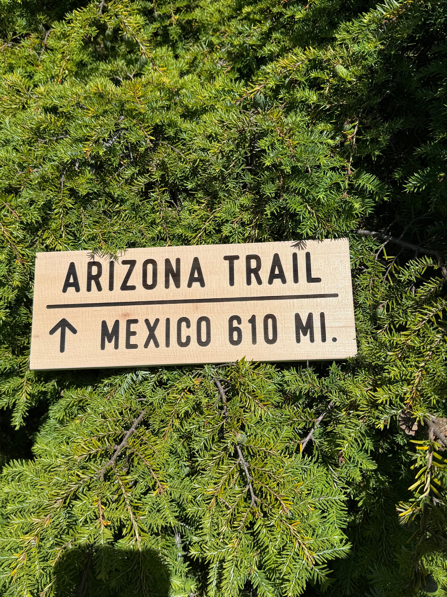 Arizona Trail Sign – Mexico 610 Miles