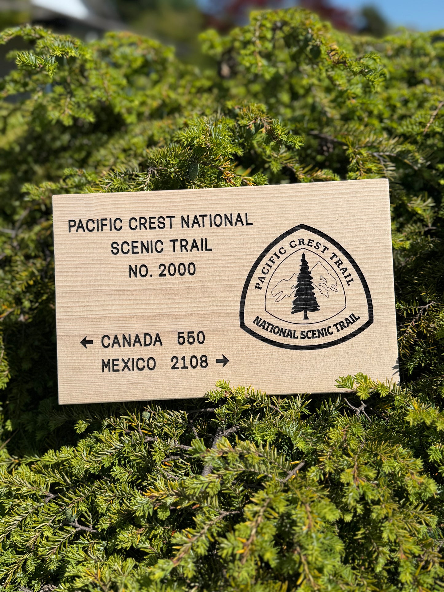 Pacific Crest Trail – Canada to Mexico Sign