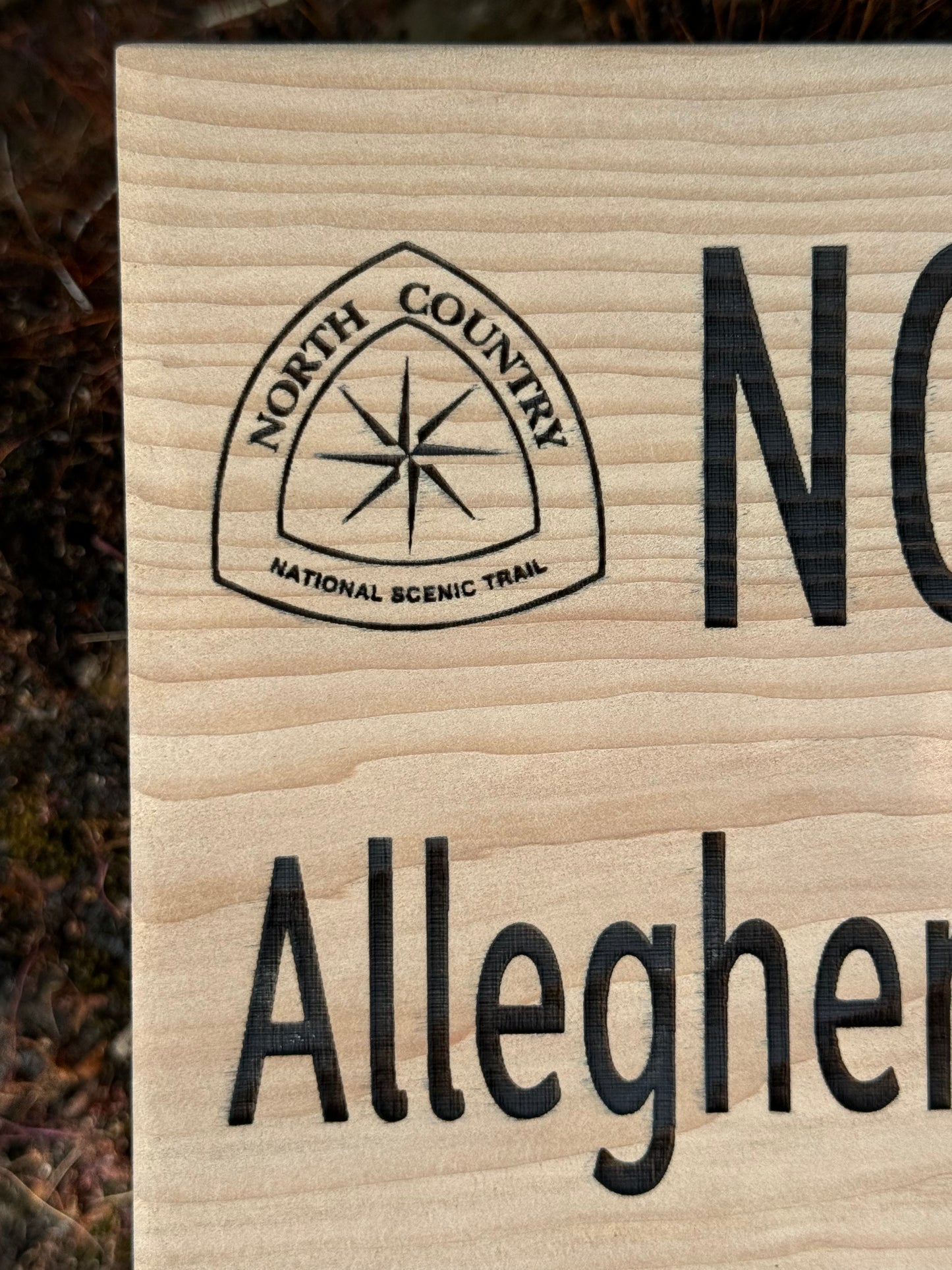 North Country Trail – Alleghany National Forest