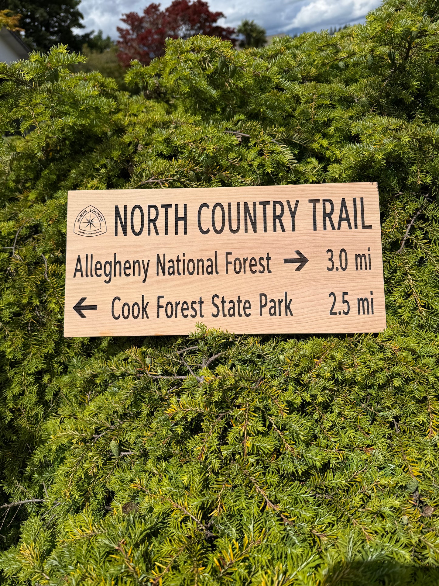 Wooden trail sign indicating directions to Allegheny National Forest and Cook Forest State Park, surrounded by green foliage.