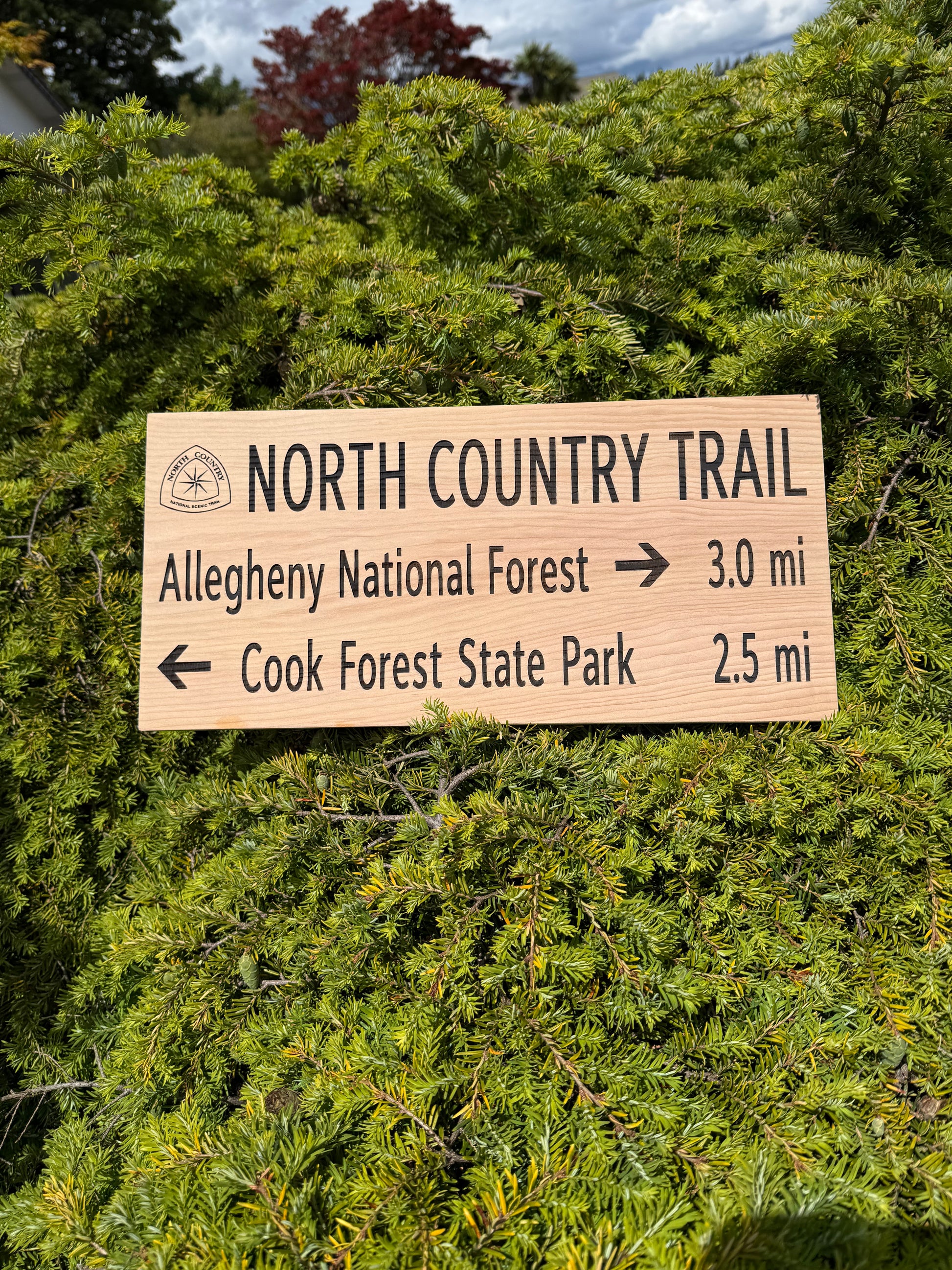 Wooden trail sign indicating directions to Allegheny National Forest and Cook Forest State Park, surrounded by green foliage.