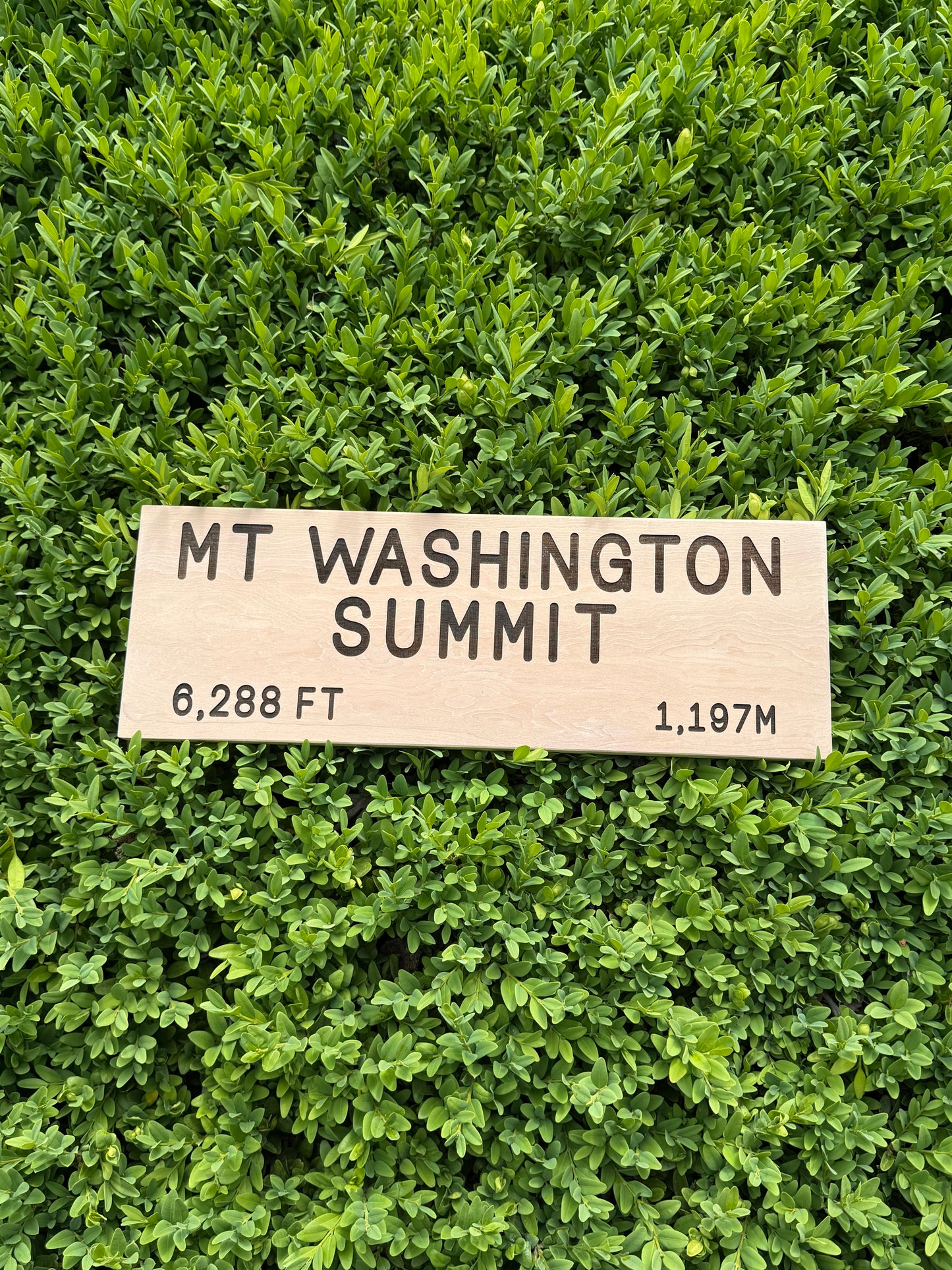 Appalachian Trail – Mt Washington Sign