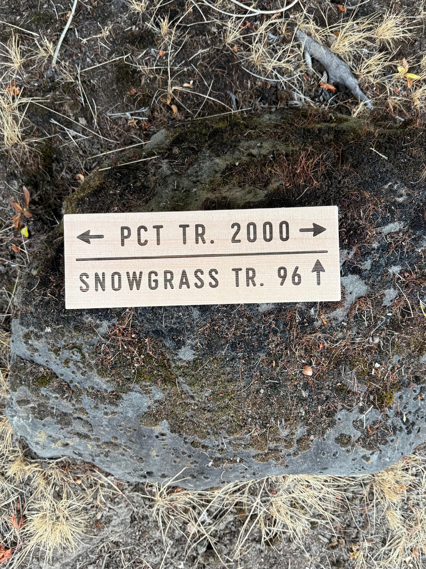 Pacific Crest Trail – Snowgrass Trail #96
