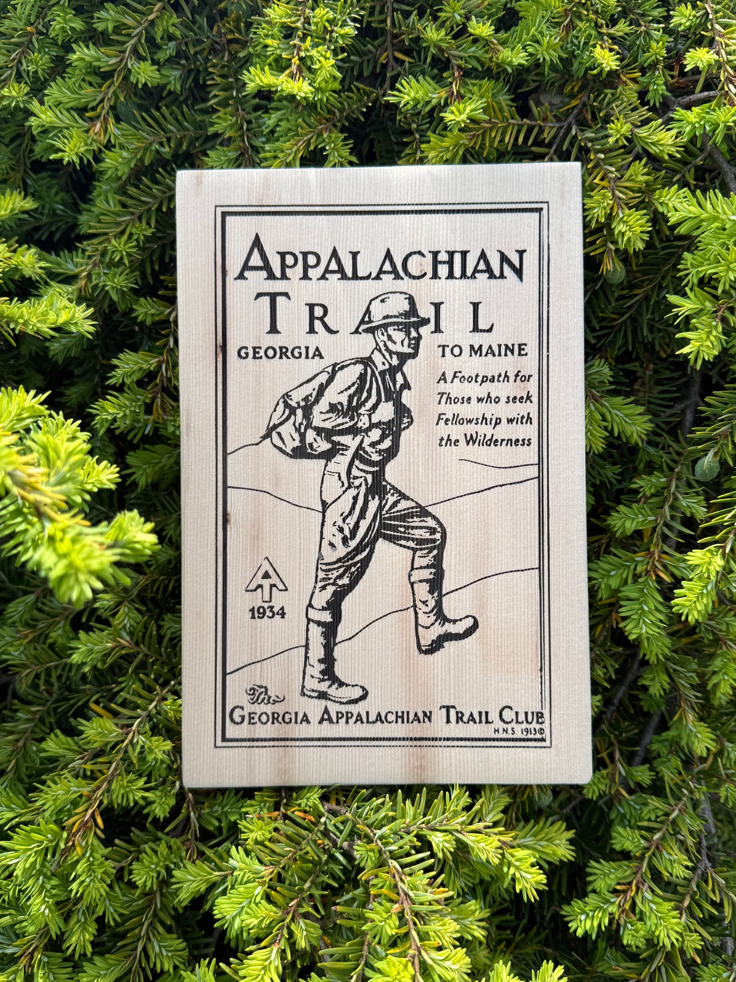 Appalachian Trail – Plaque Springer Mountain