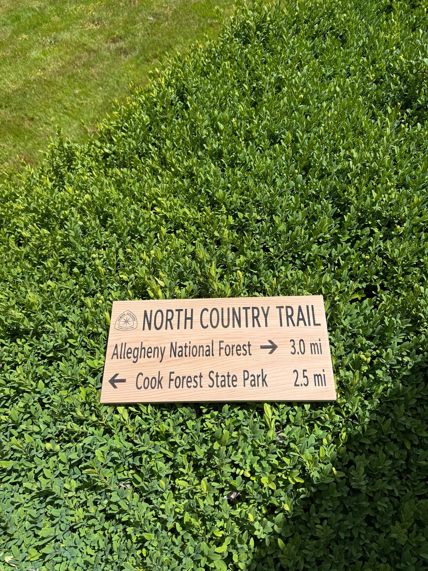 Wooden trail sign on a grassy area with text pointing to Allegheny National Forest and Cook Forest State Park.