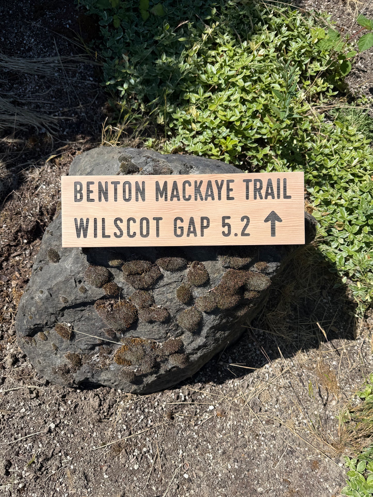 Benton MacKaye Trail Sign – Wilscot Gap