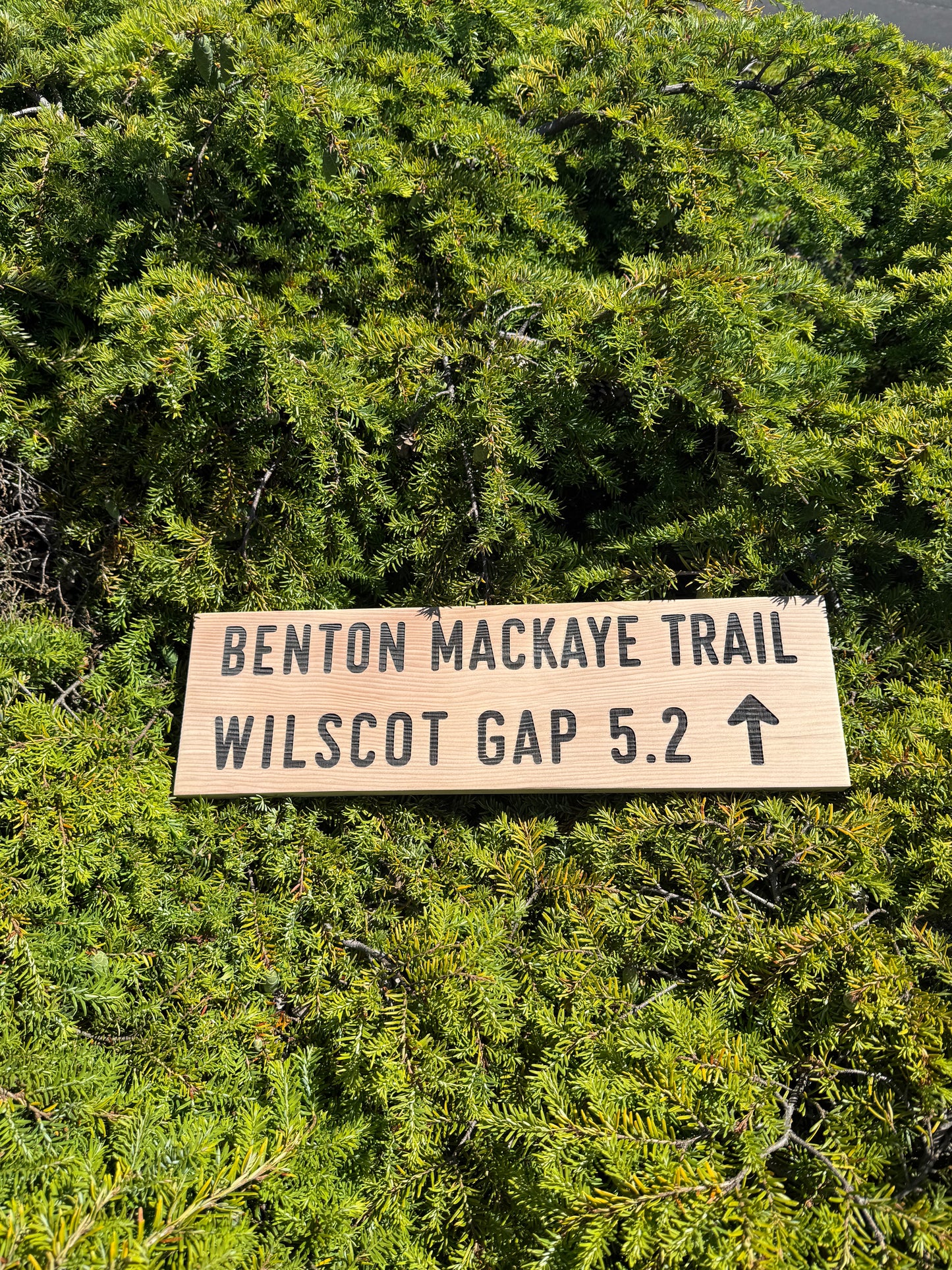 Benton MacKaye Trail Sign – Wilscot Gap